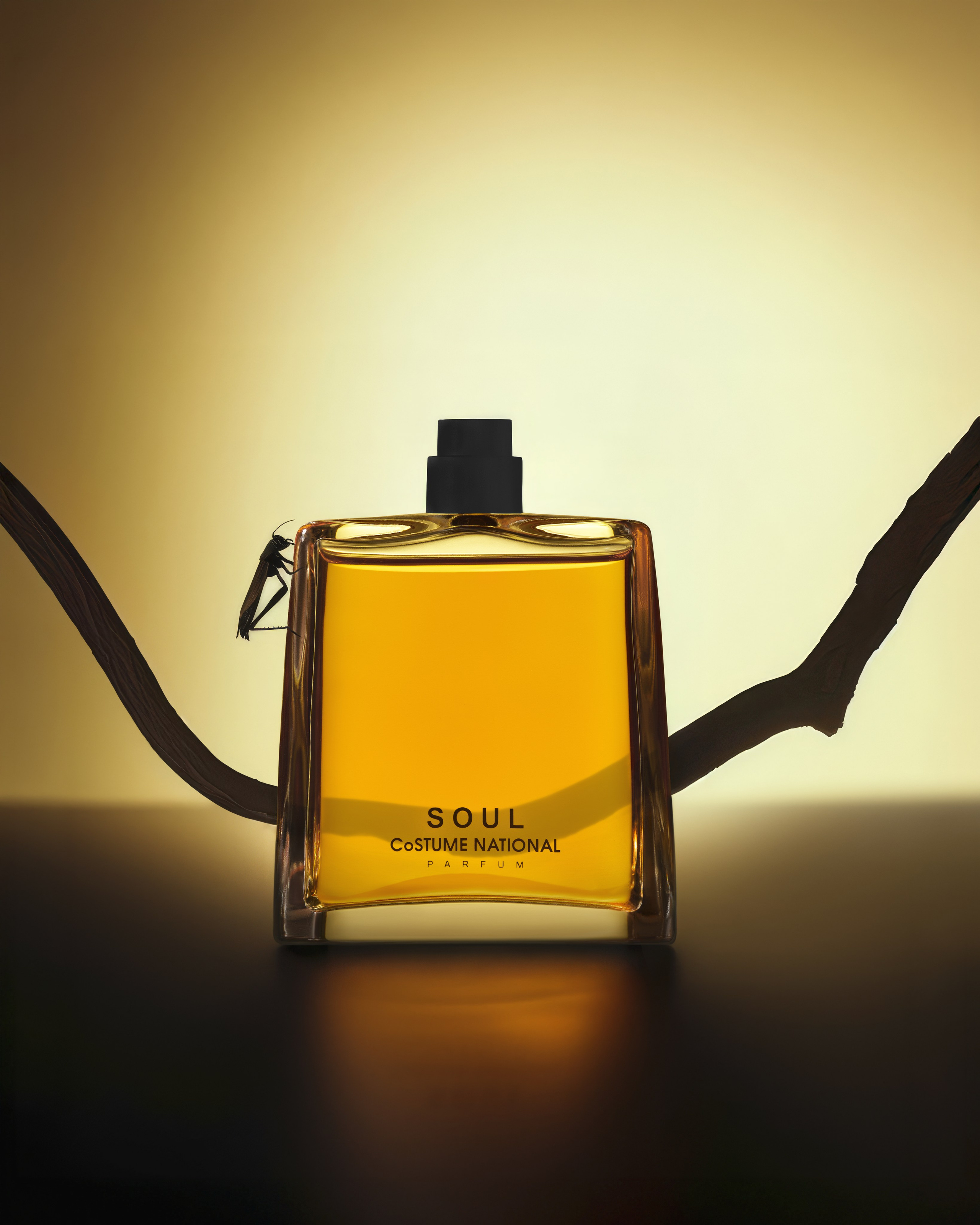 Retouch/Ps + Midjourney + Lupa AI + postproduction/Ps + color C1