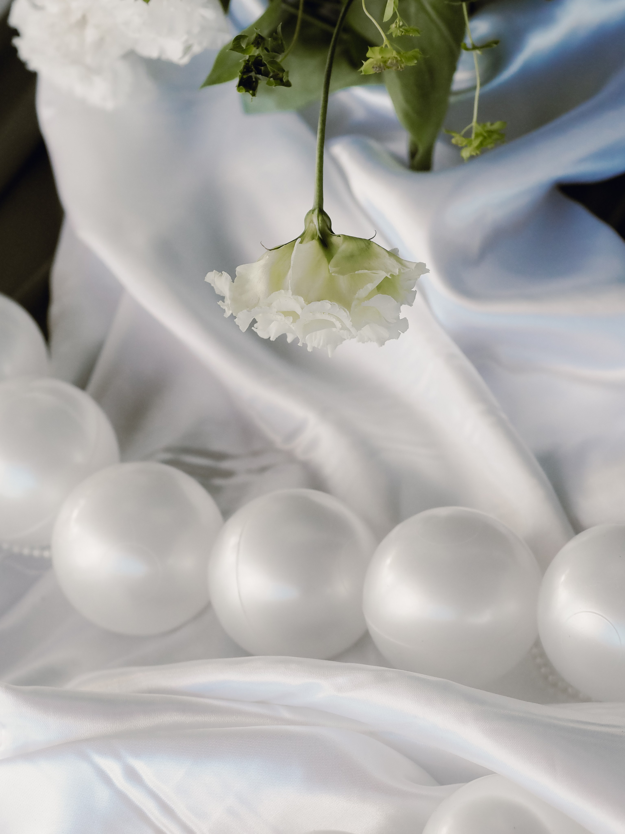 Руслан и Анастасия. Фотограф Рязань. Семейный Свадебный фотограф