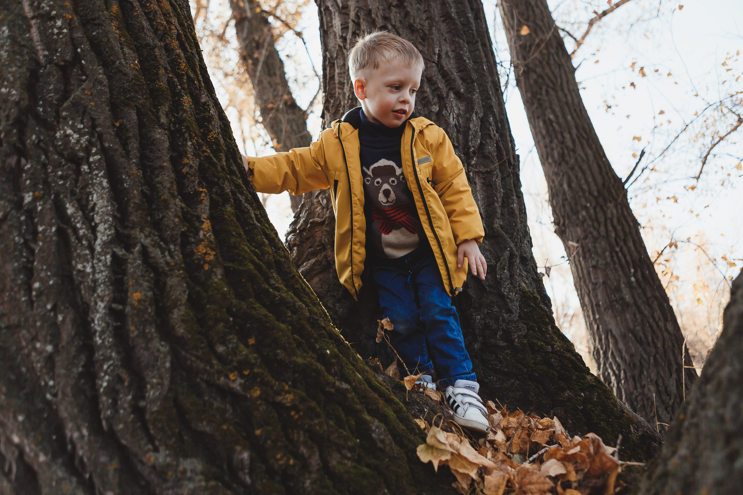 A warm day. Свадебный и портретный фотограф в Красноярске Алина Семенихина