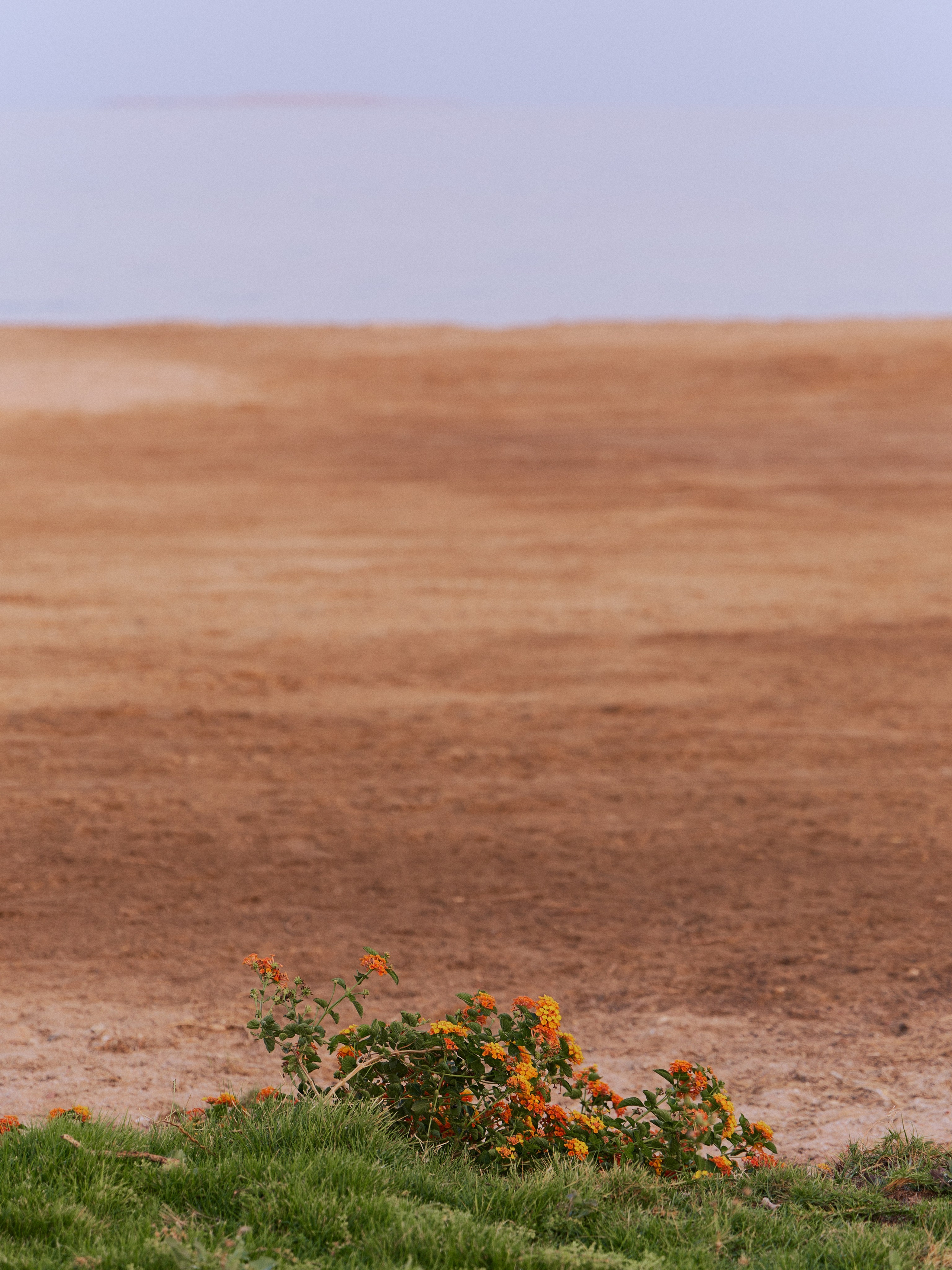 Другое 3. Jorgis — фотограф в Хургаде / обучение фотографии