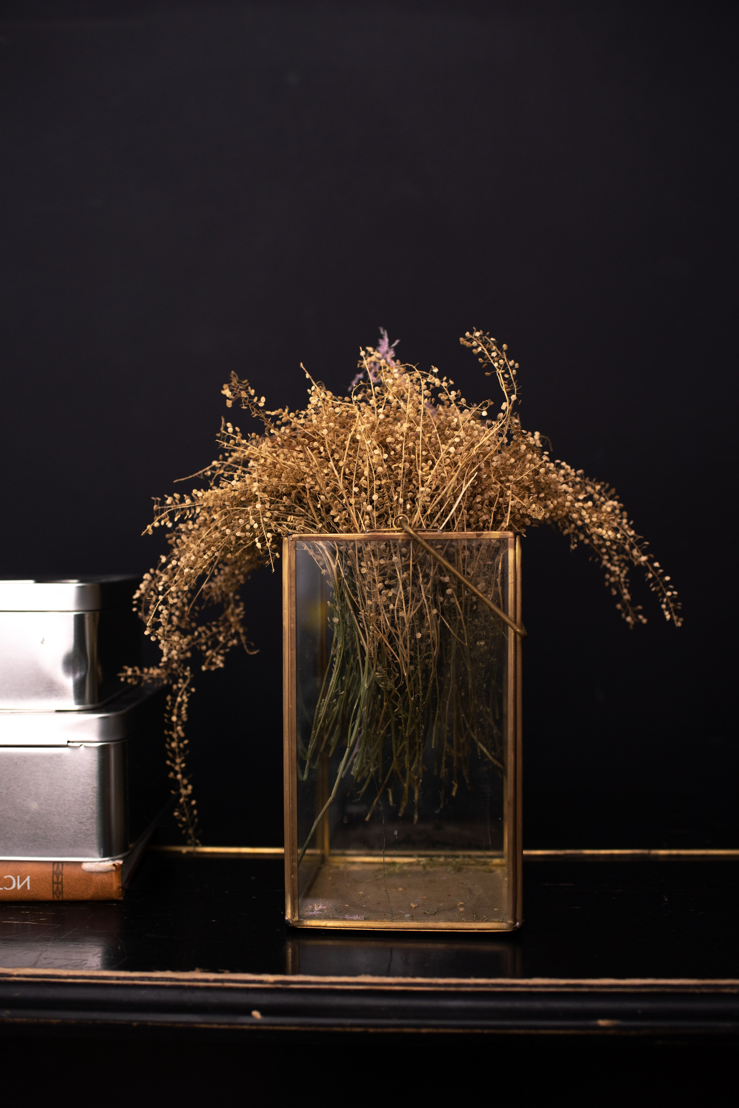 Фотосессия для юриста, идеи фотографий. Фотограф в Москве и Люберцах, Валя Шикулина