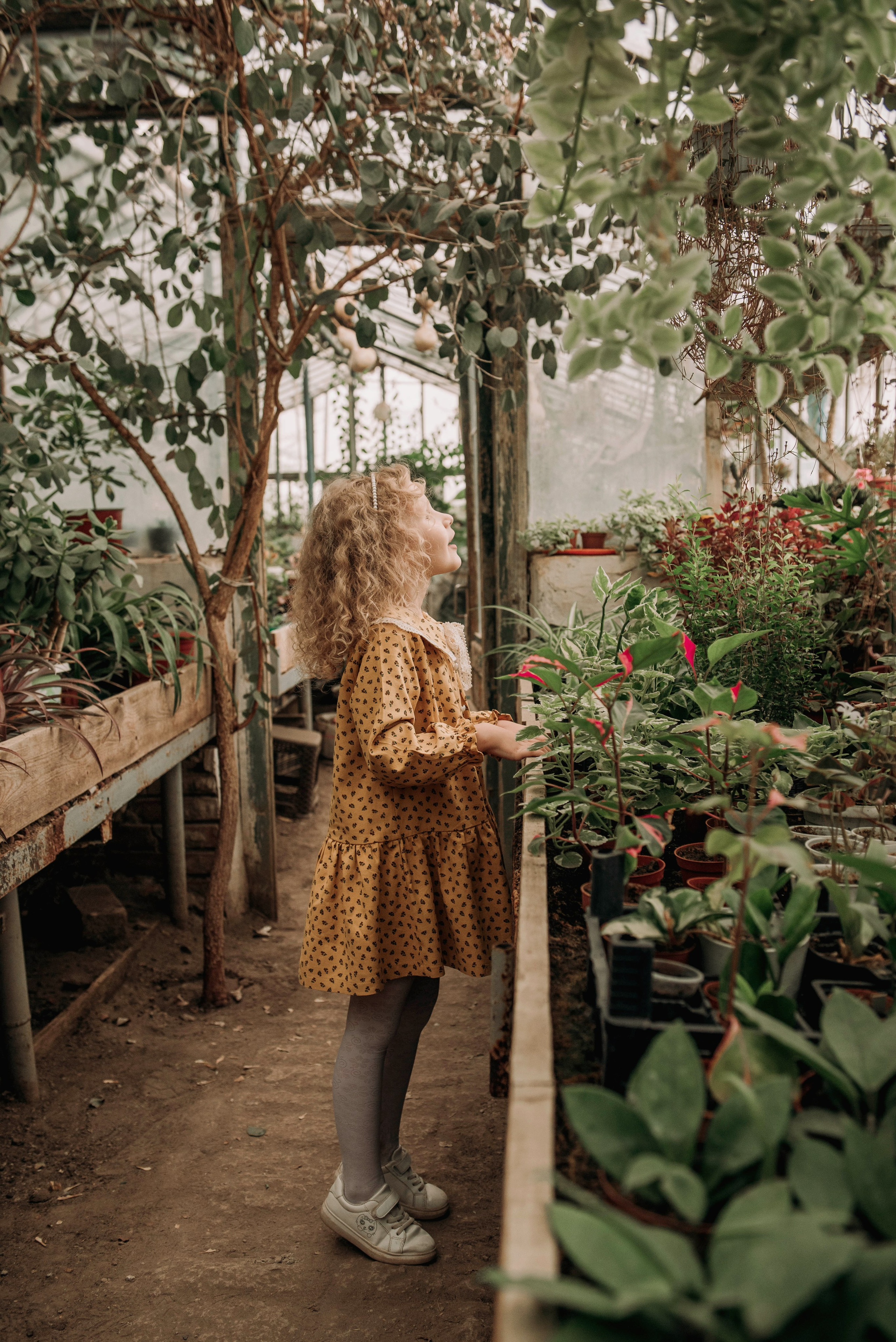 Семейная съёмка в оранжерее. Семейный фотограф в Новочеркасске Виктория Громова