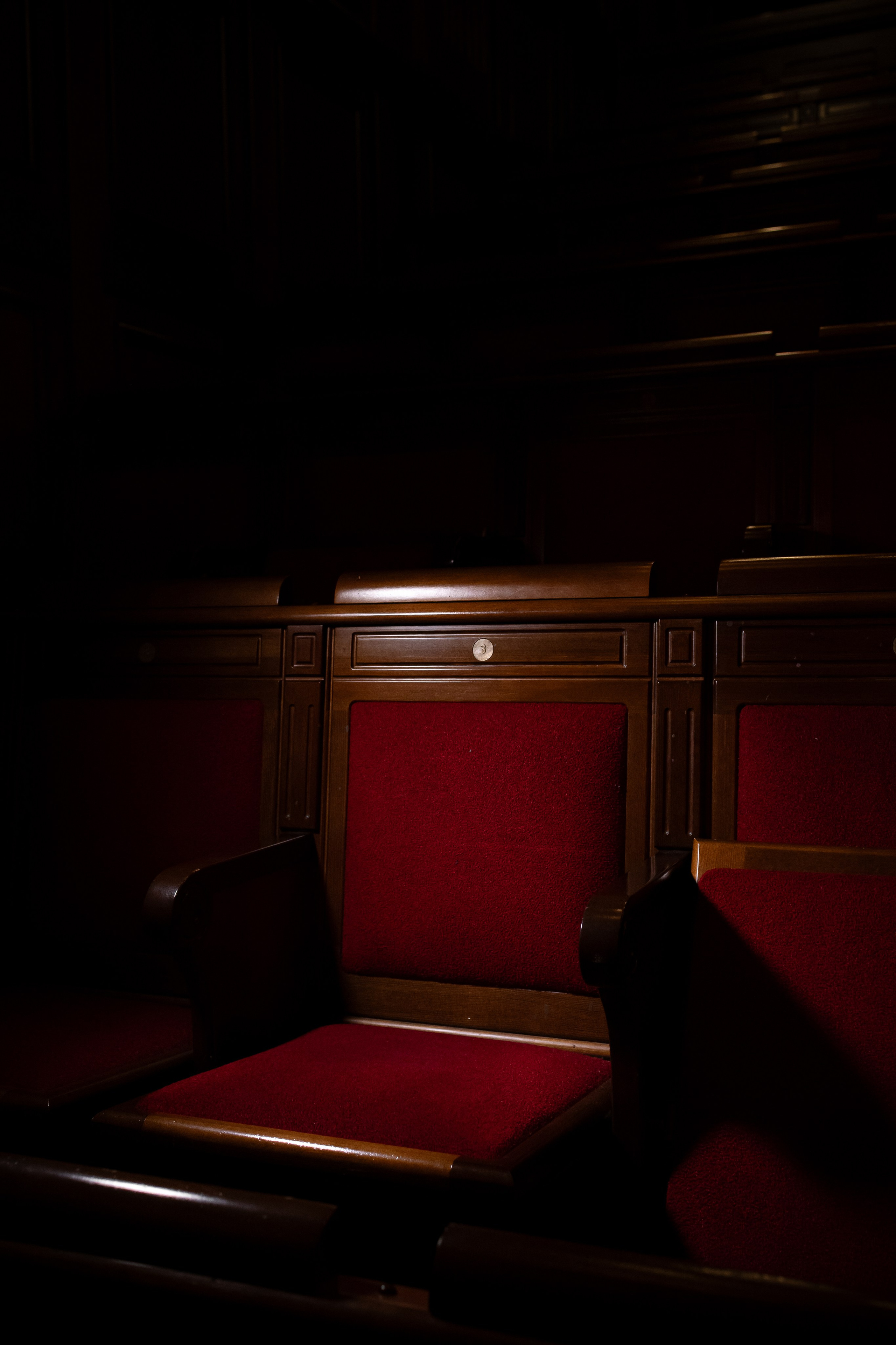 Дарина и Егор. Екатерина Пашкова, фотограф, видеограф в Томске