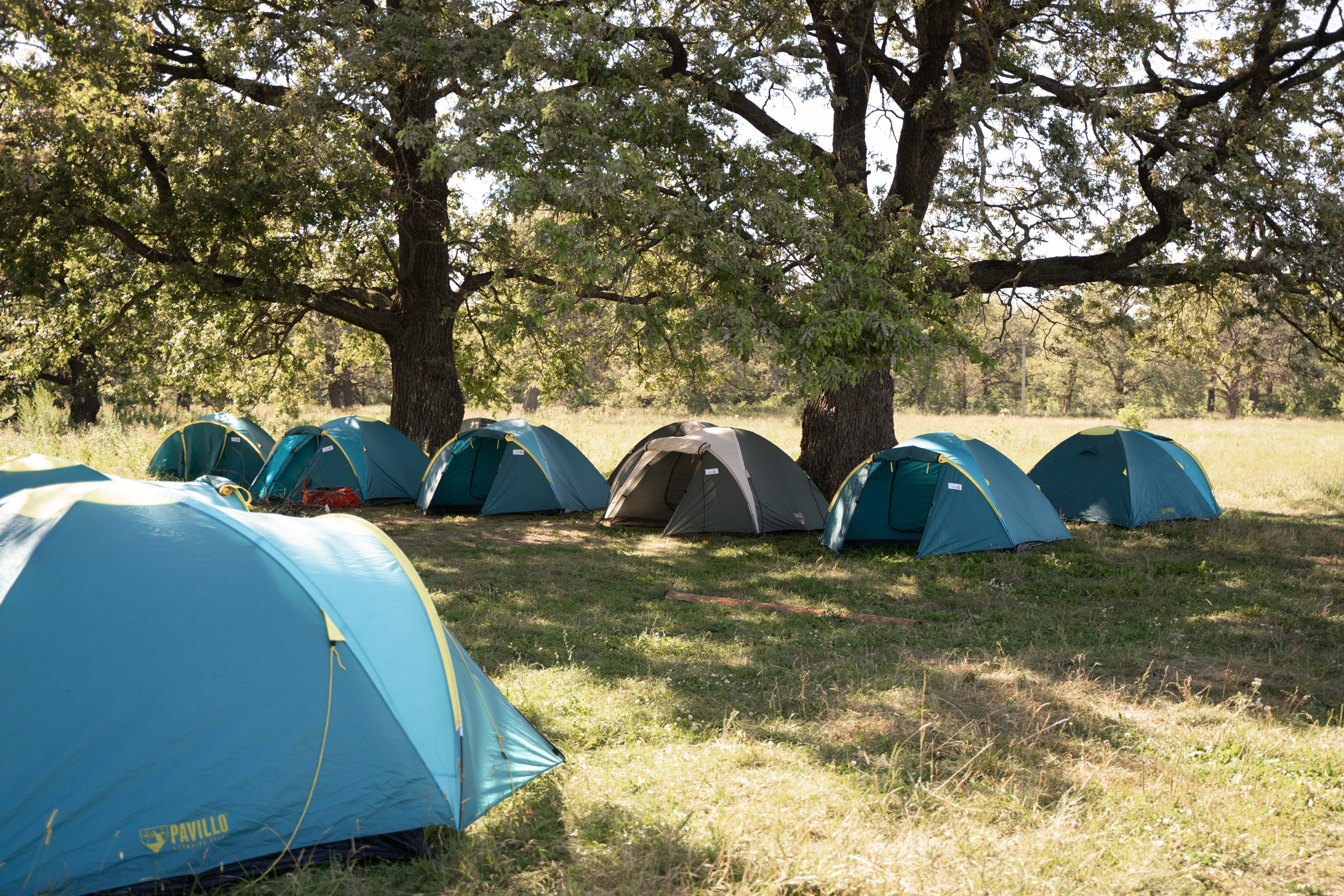 Палаточный форум для взрослых CAMPot 2024. Фотограф Надежда Погребняк | Рязань | Москва