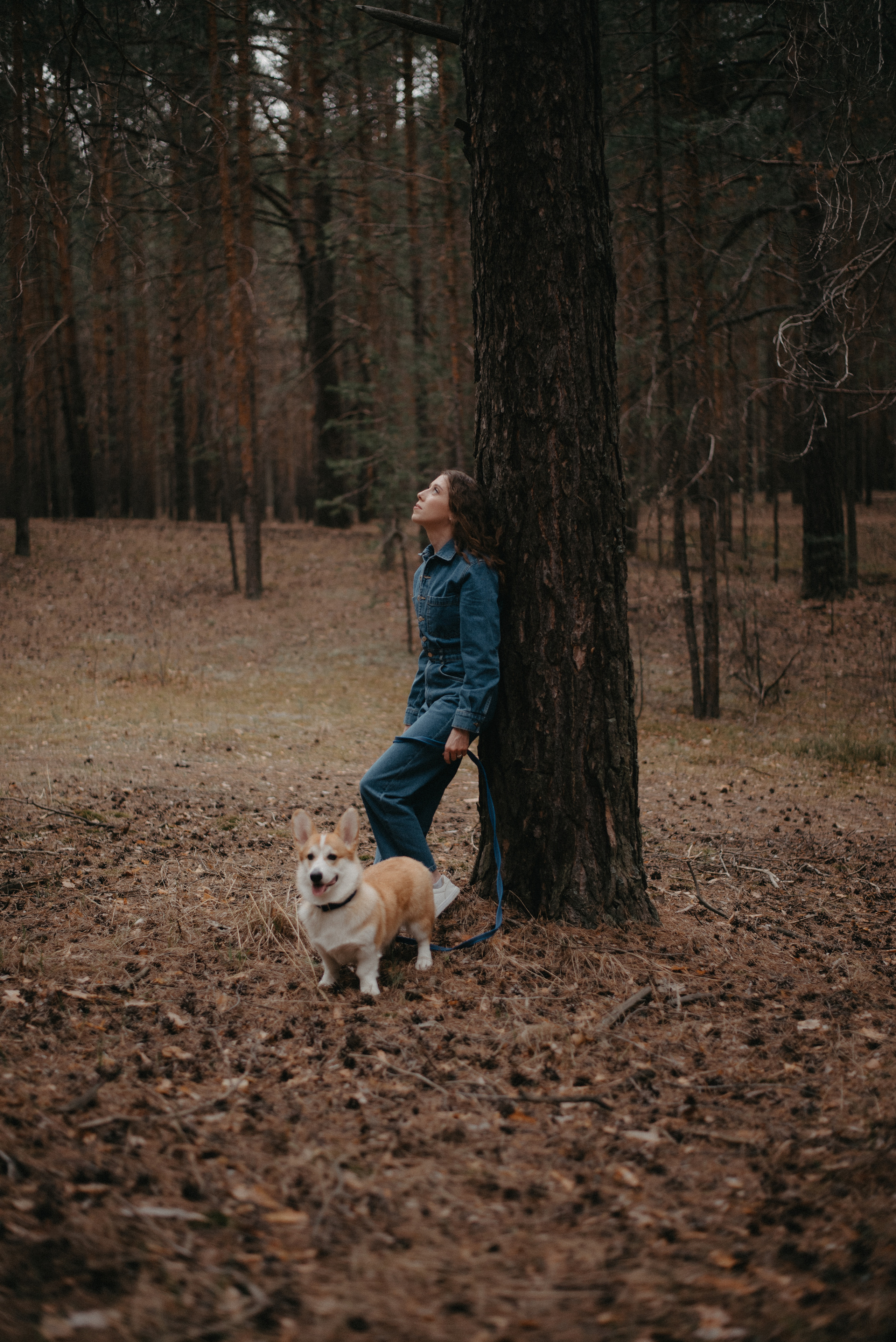 Саша, Маша и Бентли. Главная