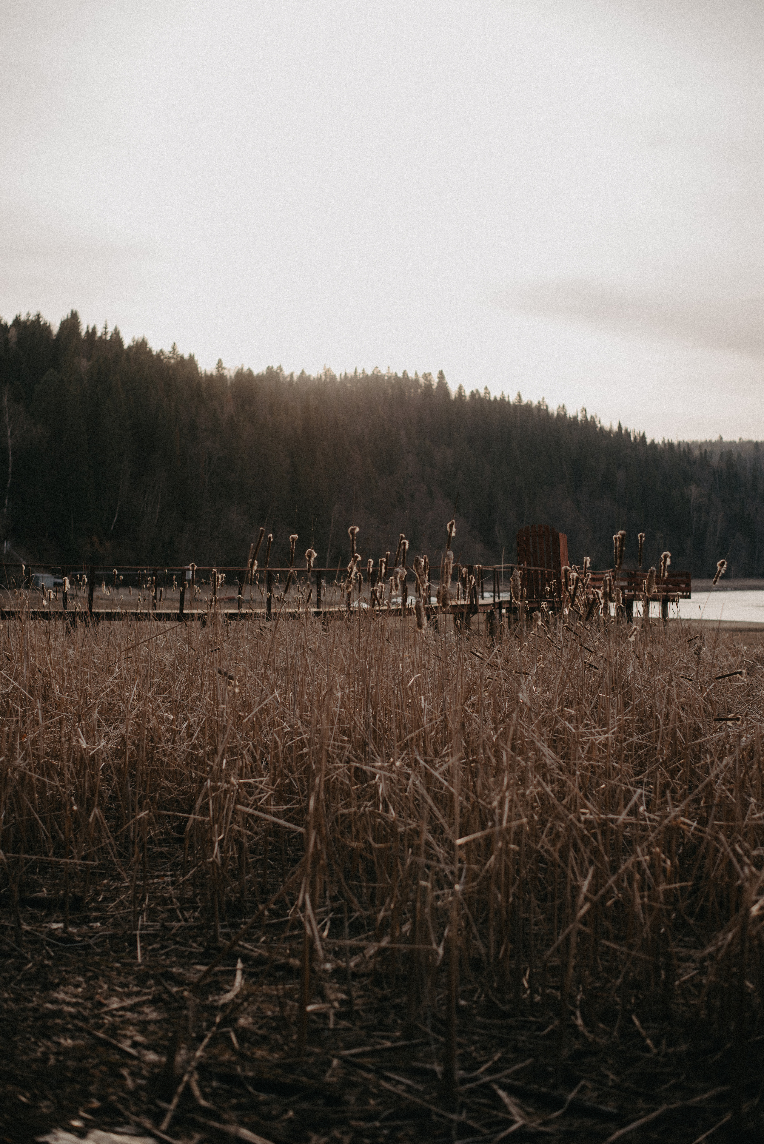 Точка спокойствия. Главная