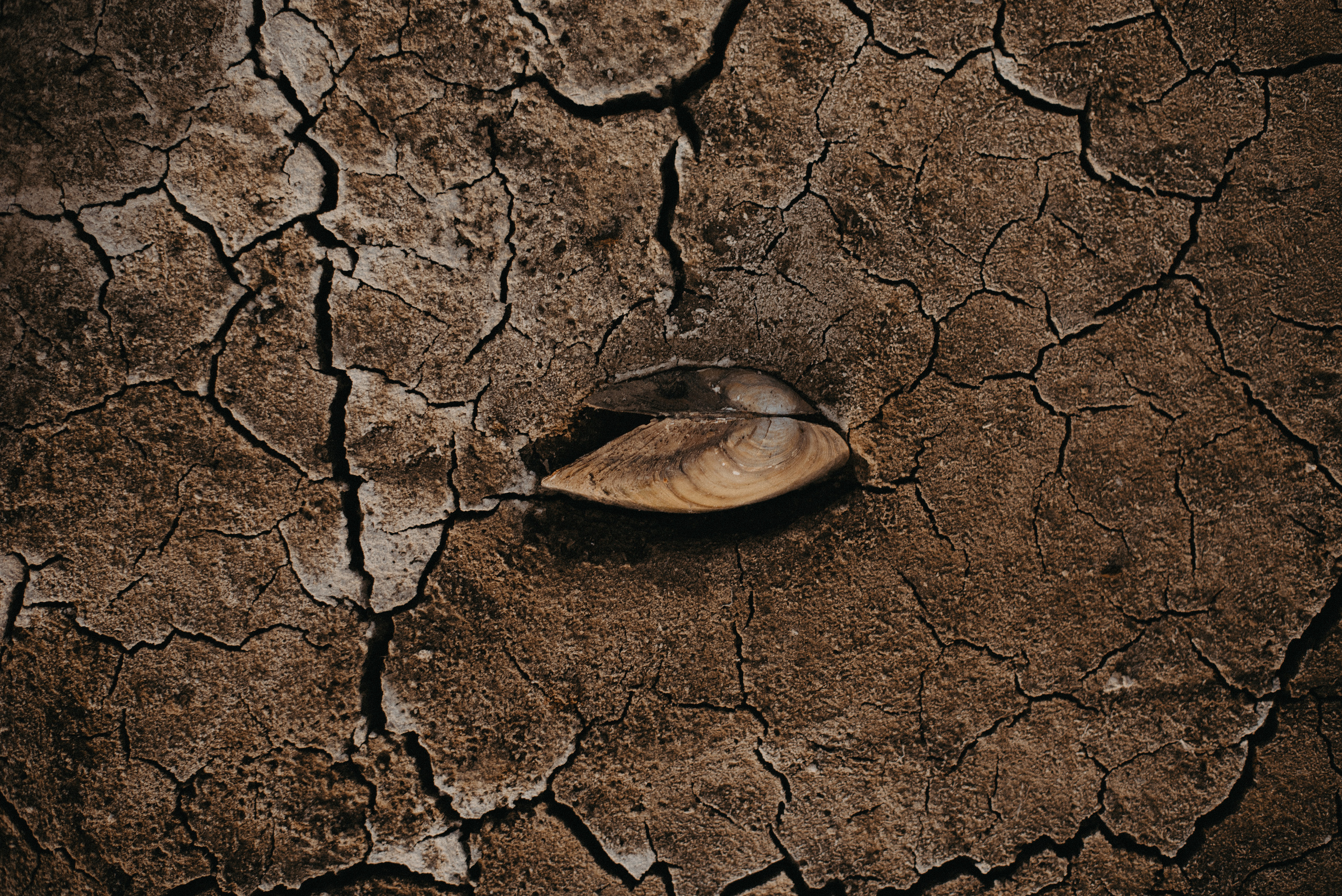 Точка спокойствия. Главная