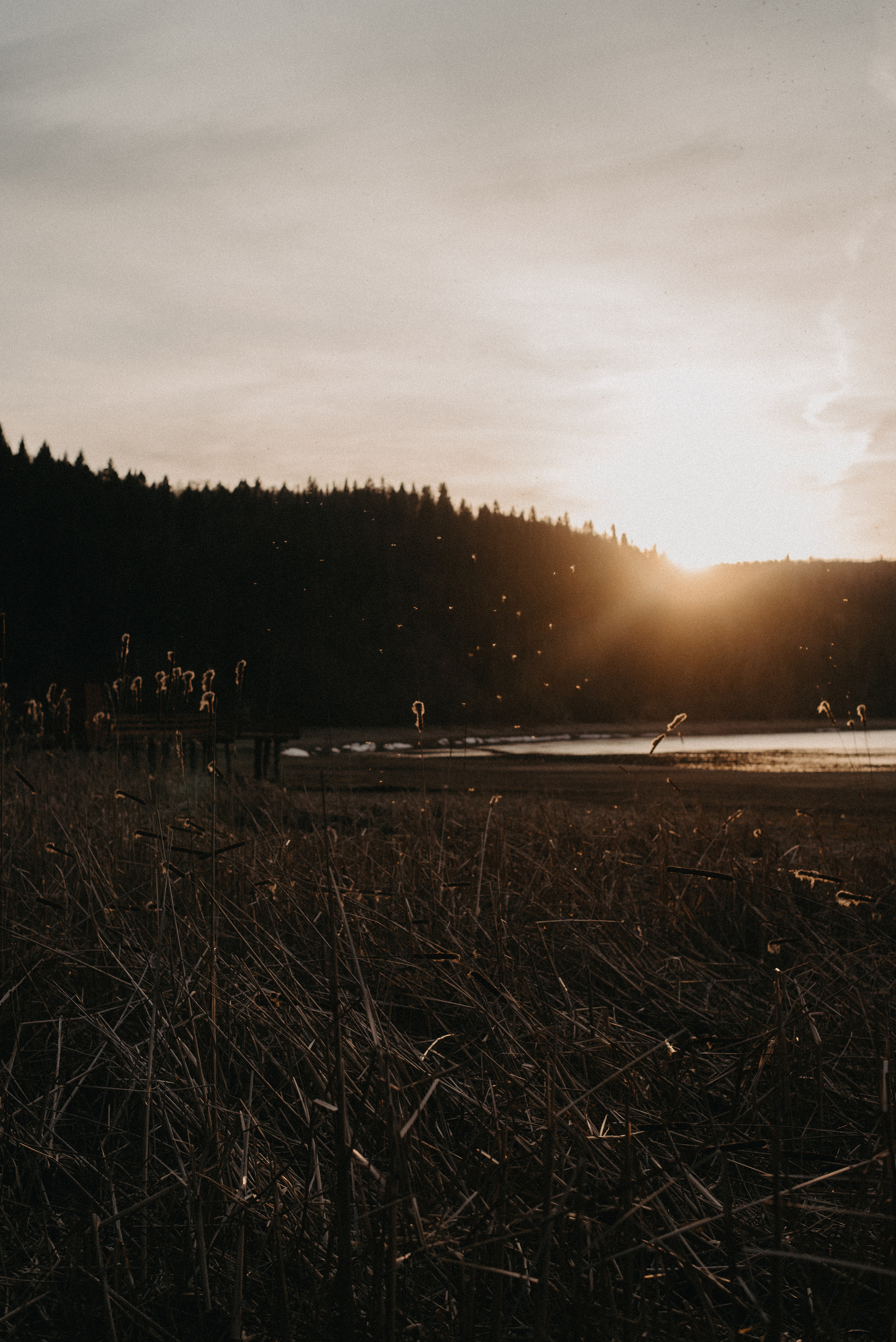 Точка спокойствия. Главная