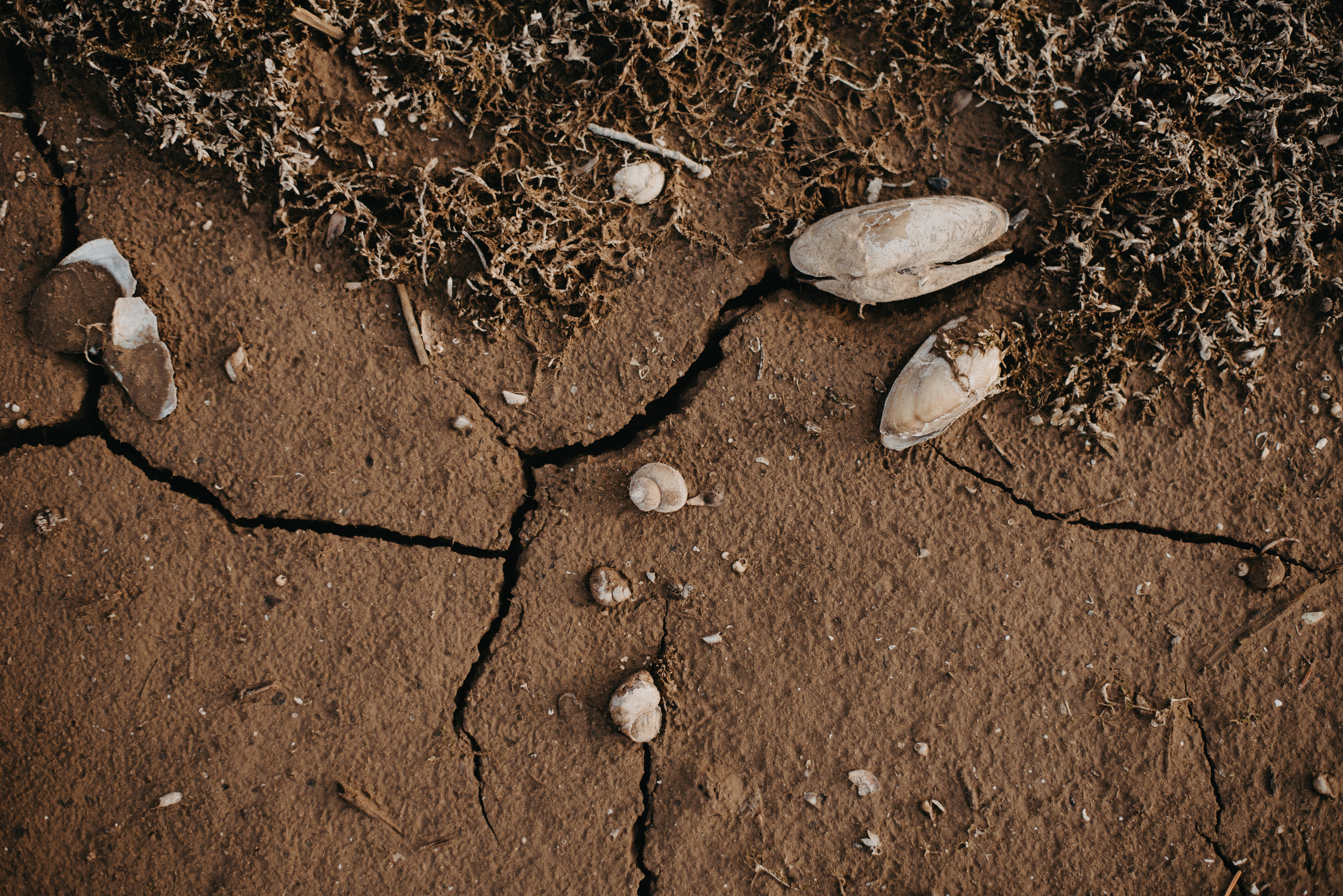 Точка спокойствия. Главная