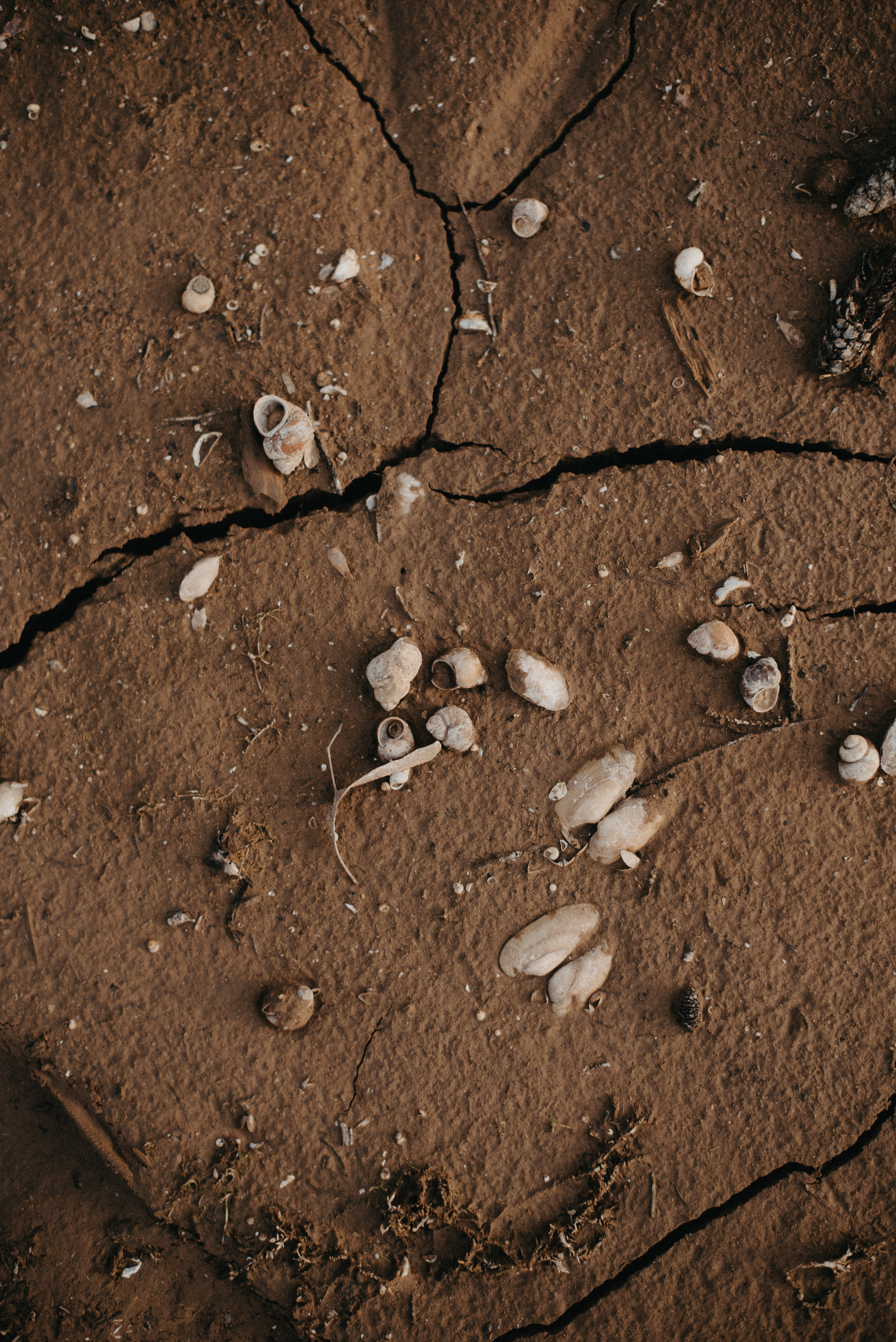 Точка спокойствия. Главная