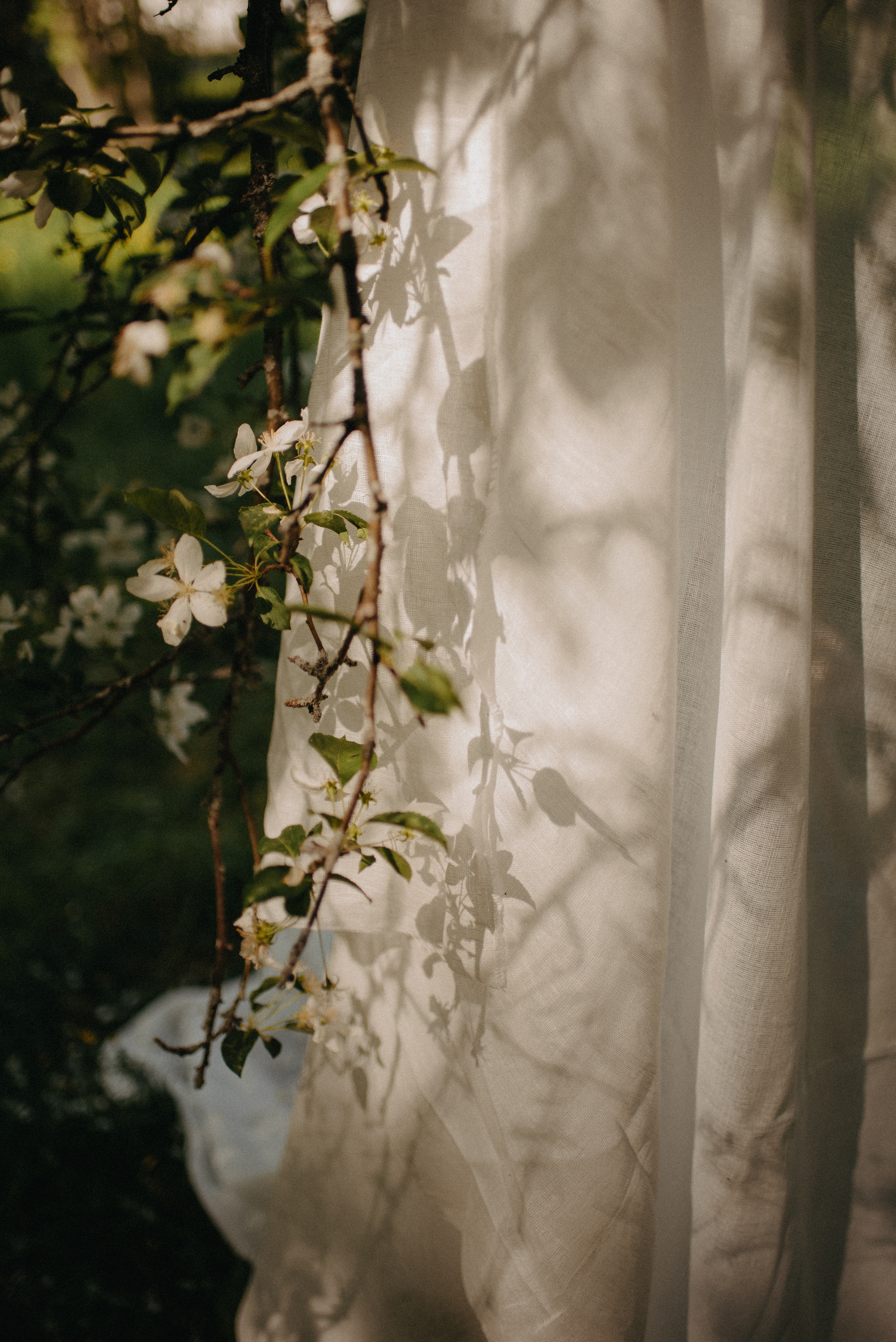 Алла и Злата. Главная