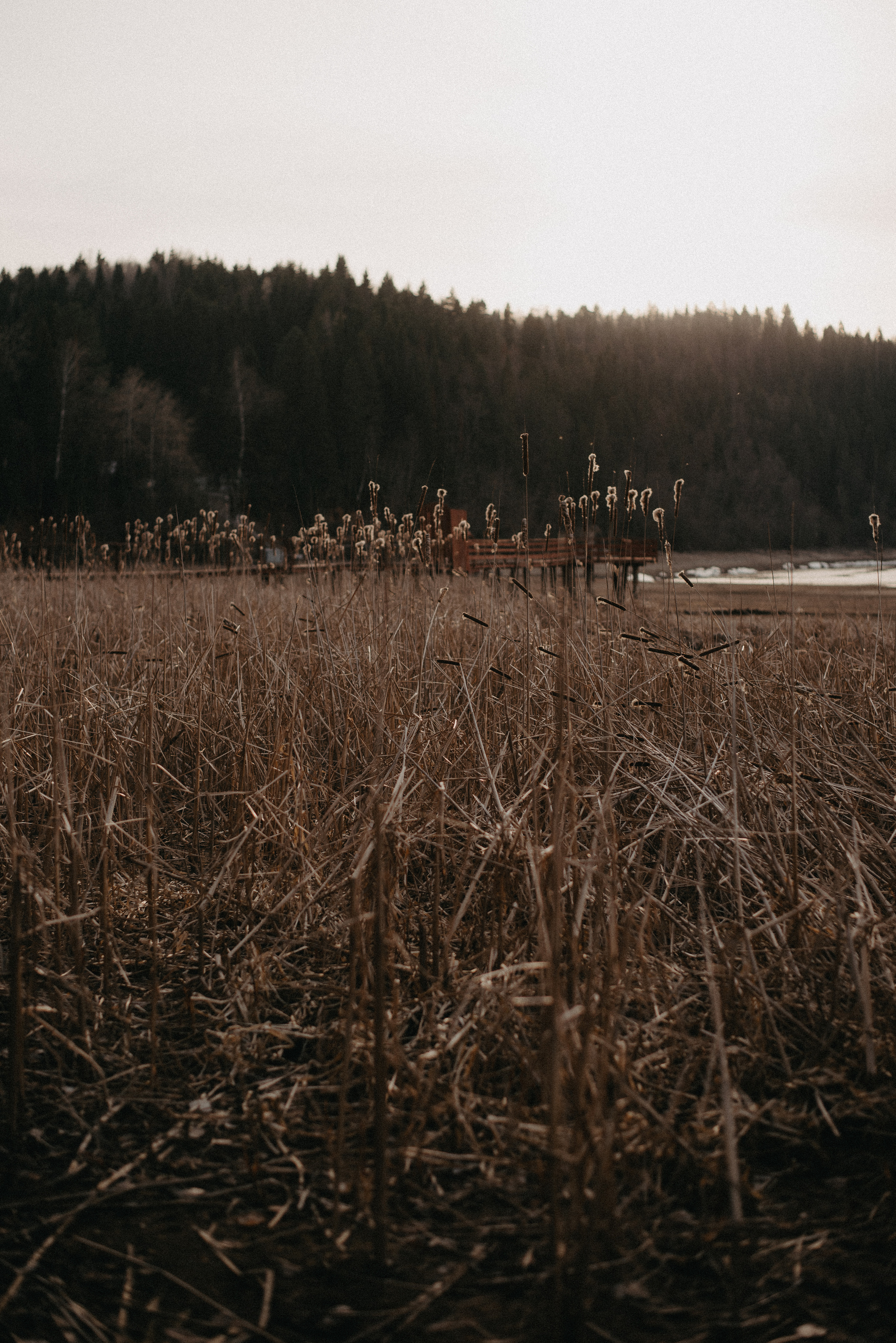 Точка спокойствия. Главная