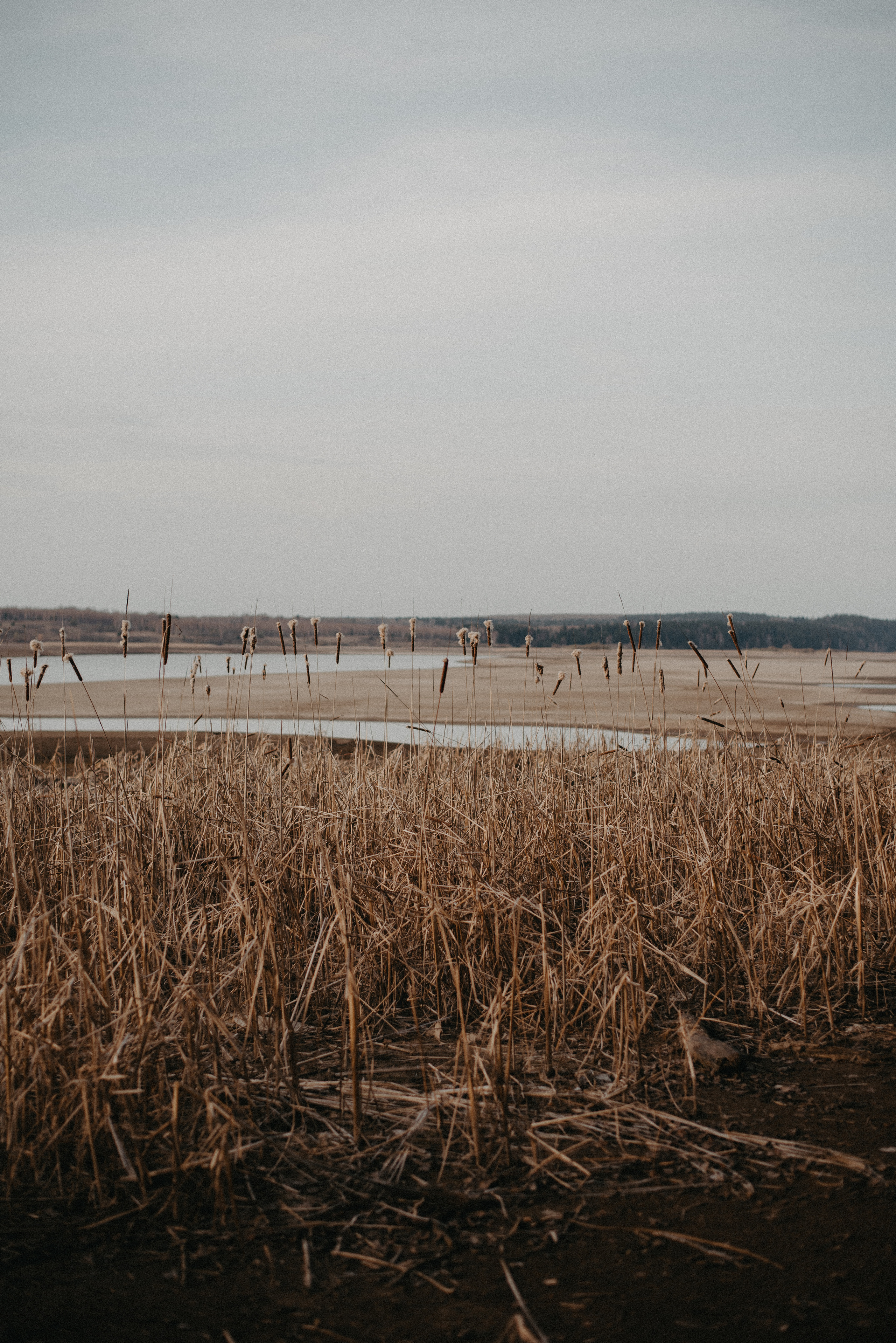 Точка спокойствия. Главная