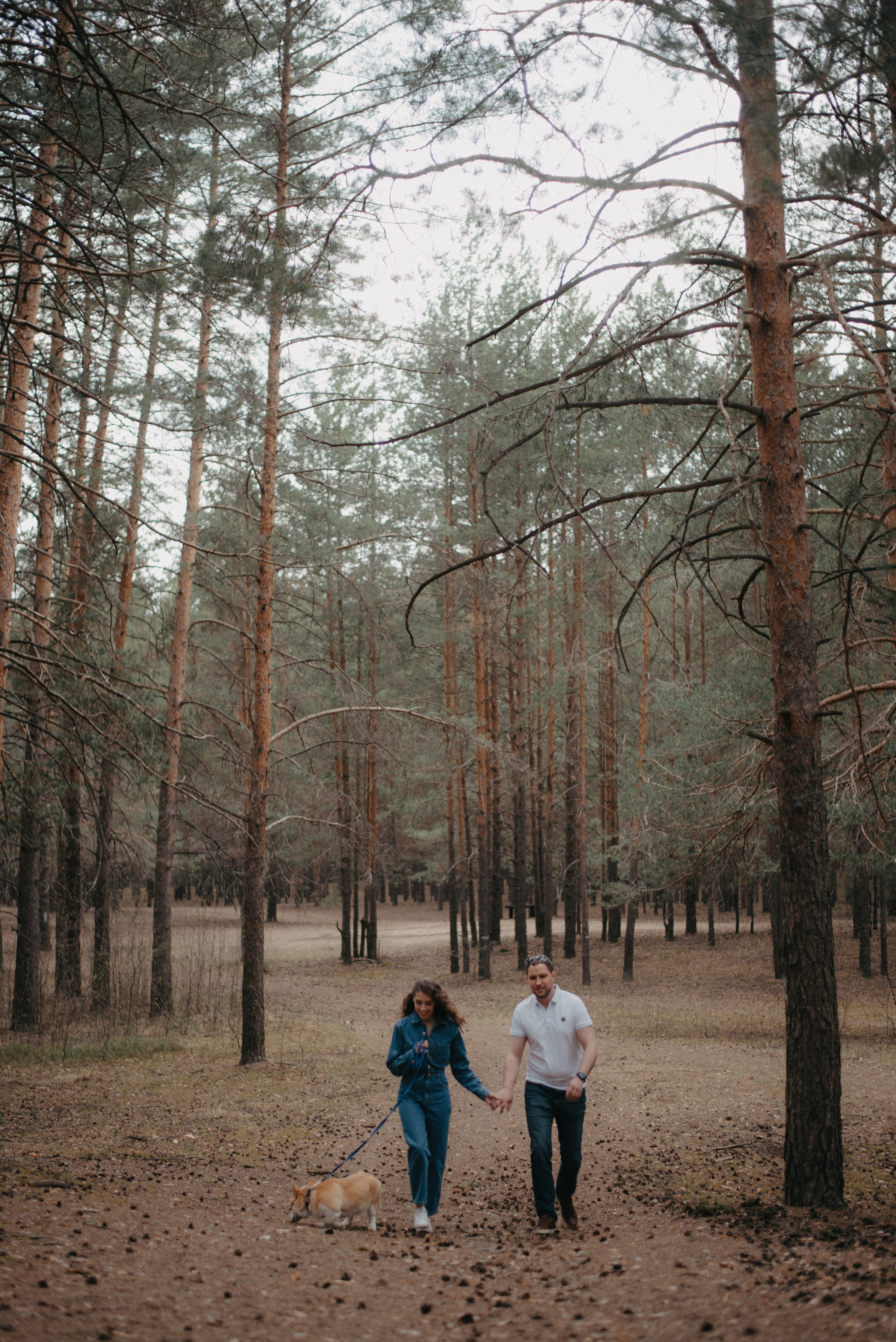 Саша, Маша и Бентли. Главная