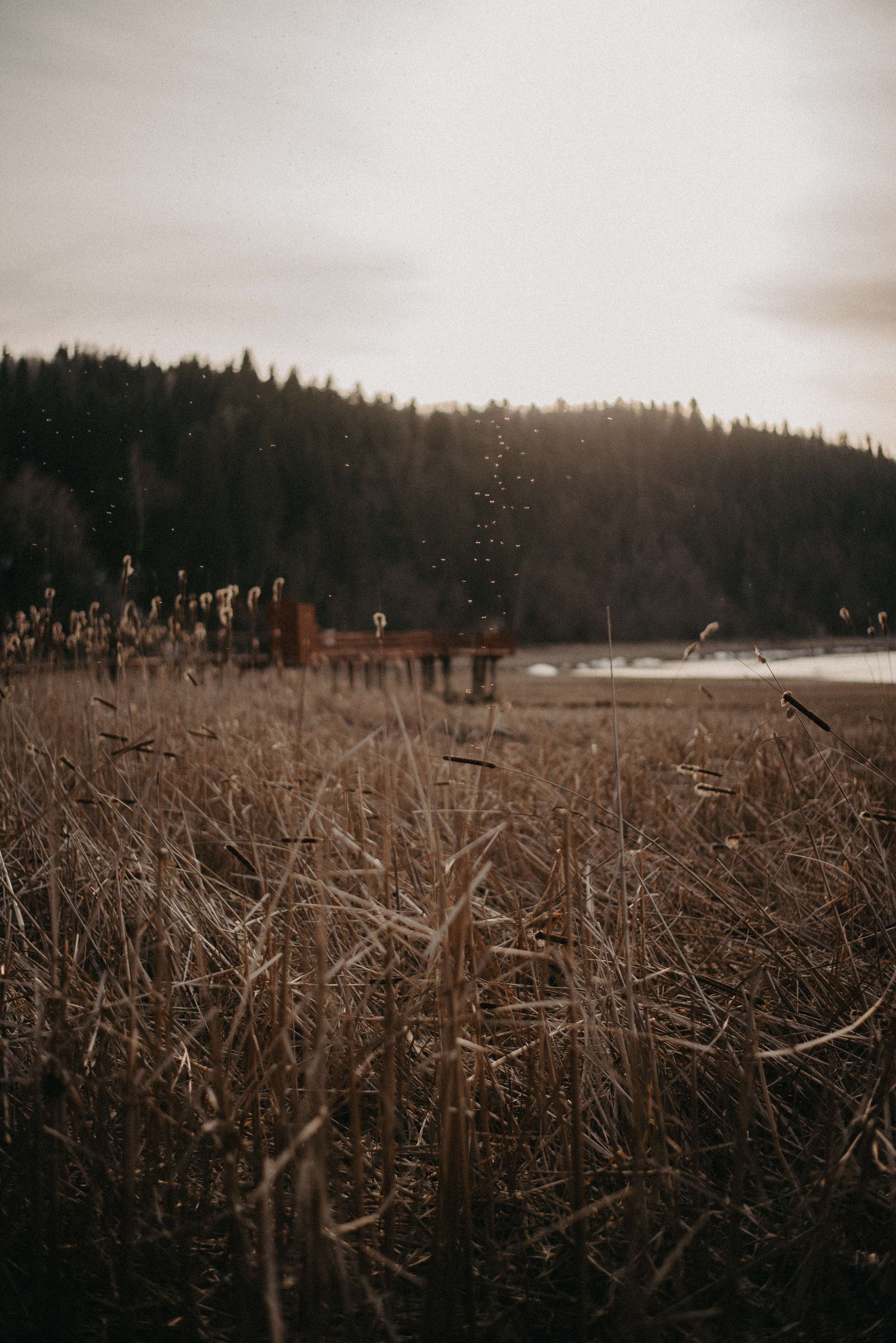 Точка спокойствия. Главная