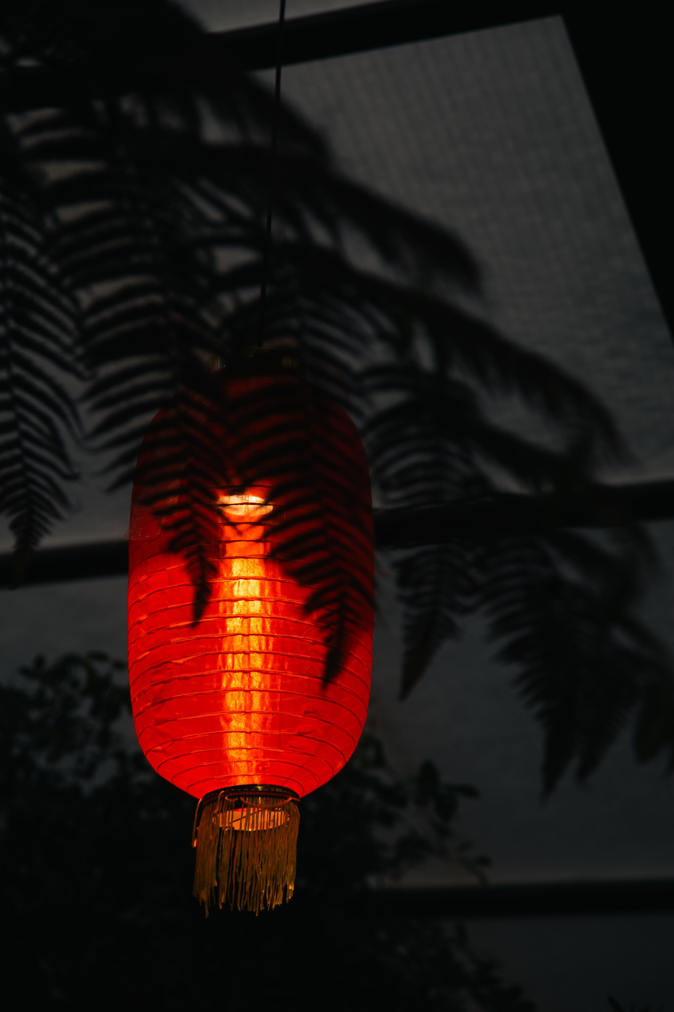 Китайский новый год 2025. Dmitriy [KCCC] is a pretty cool photographer