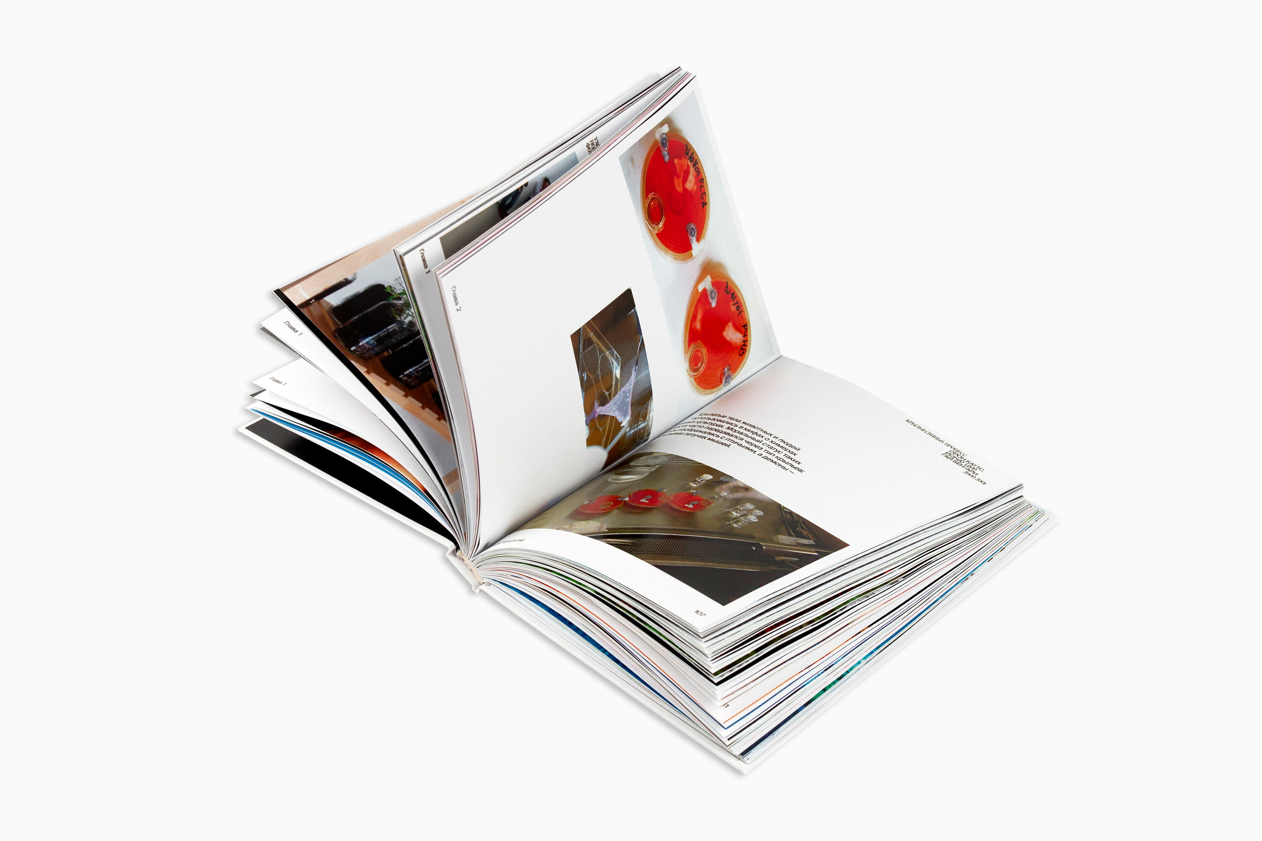 Книга. Фотограф Злата Спицына