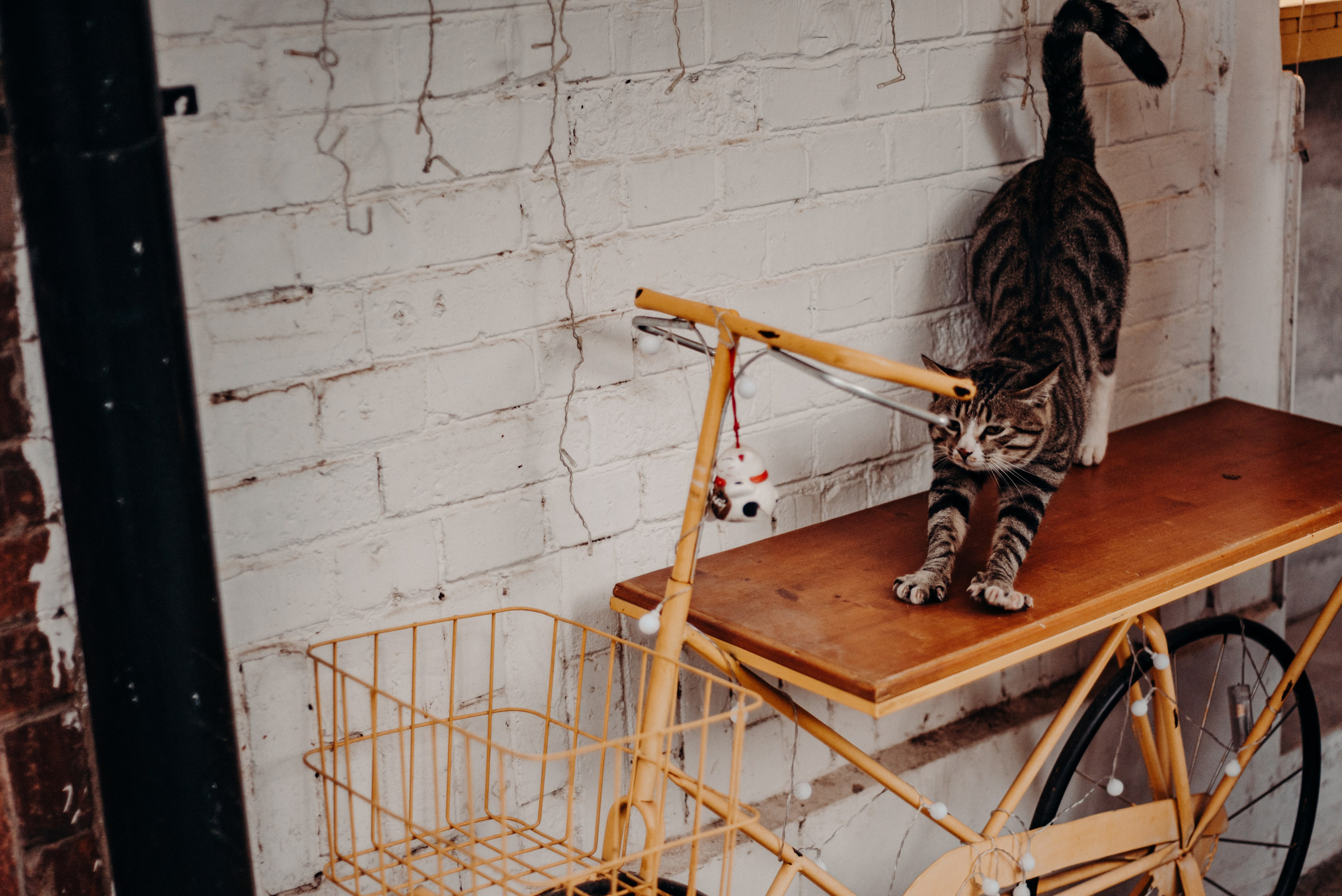 Рекламный фотограф из Гуанчжоу: путешествие по Уханю через объектив камеры. Коммерческий и предметный фотограф в Гуанчжоу Коваленко Александр