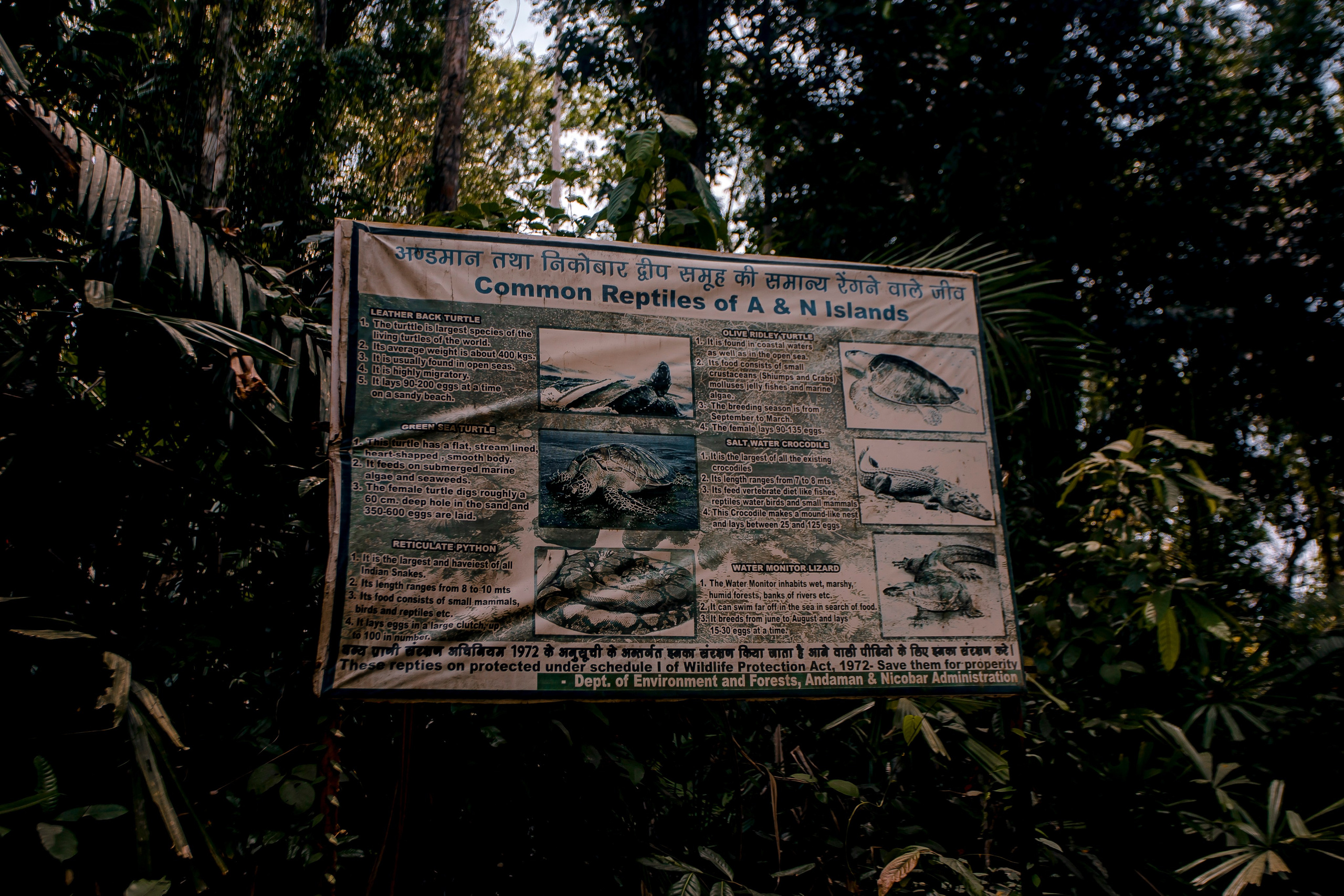 Andaman Islands, Part2. Art Photographer