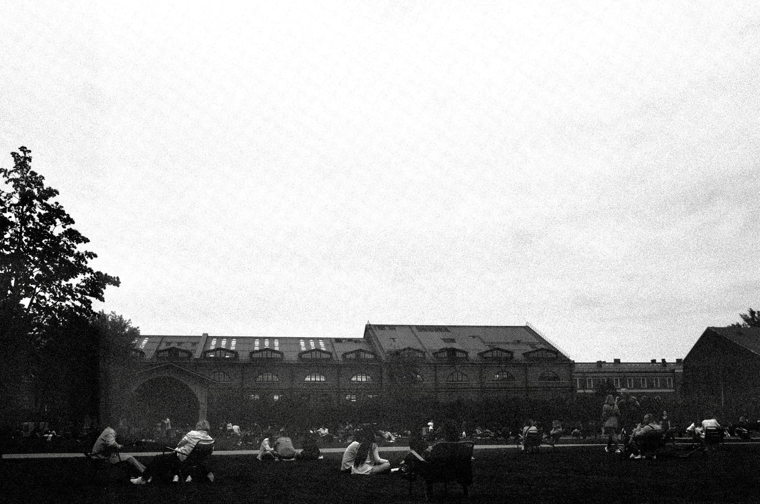 Film. Ruslan UI Dev Page