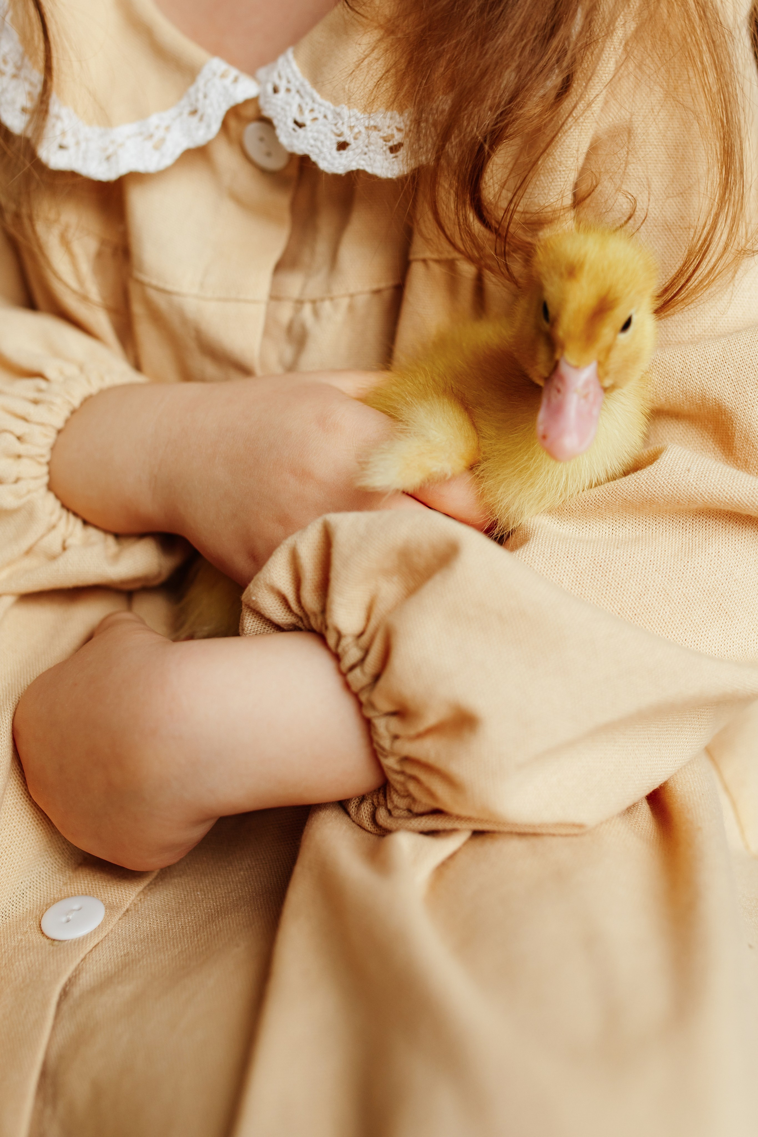 Фотопроекты. Фотограф новорождённых семейный фотограф Томск Елена Каплина