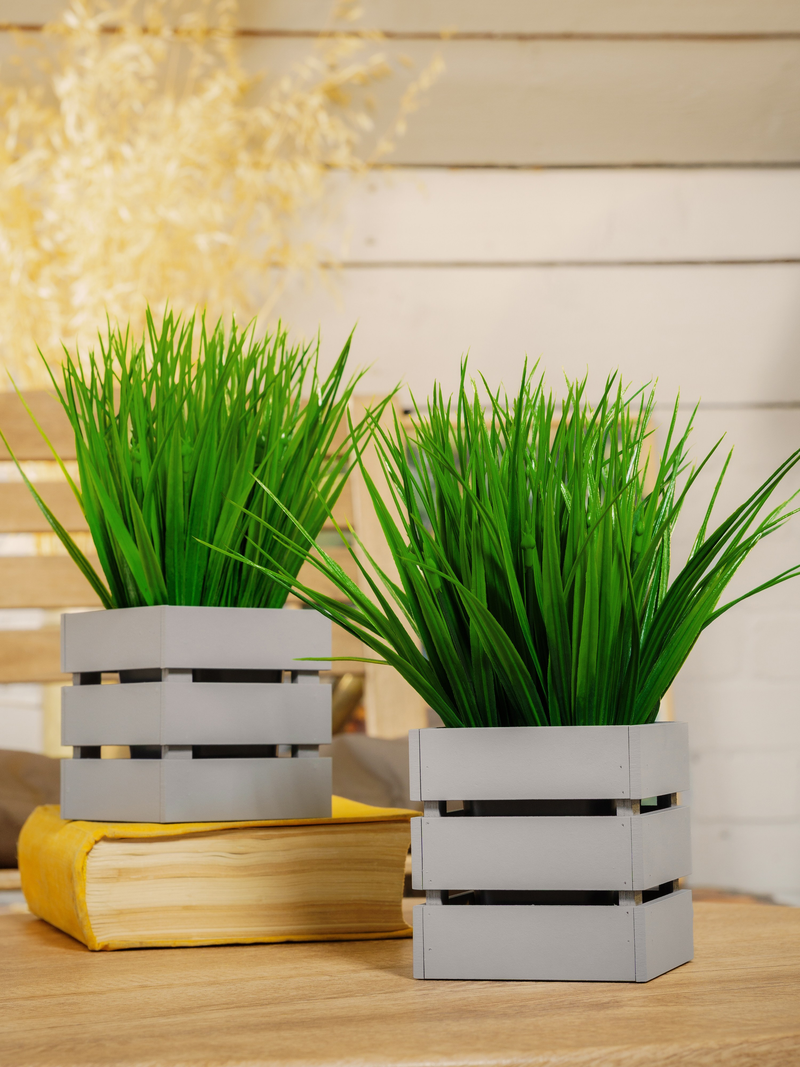 Кашпо. Макаров Сергей|Creamlebot Фотограф города Ростов-на-Дону