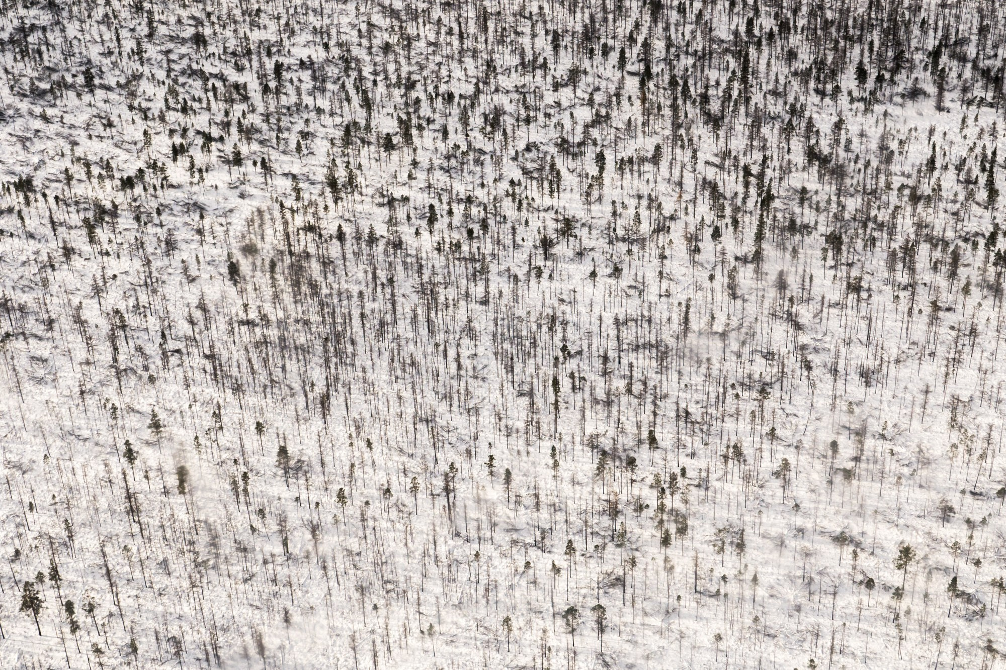 Якутия. Фотограф Алексей Скоробогатько