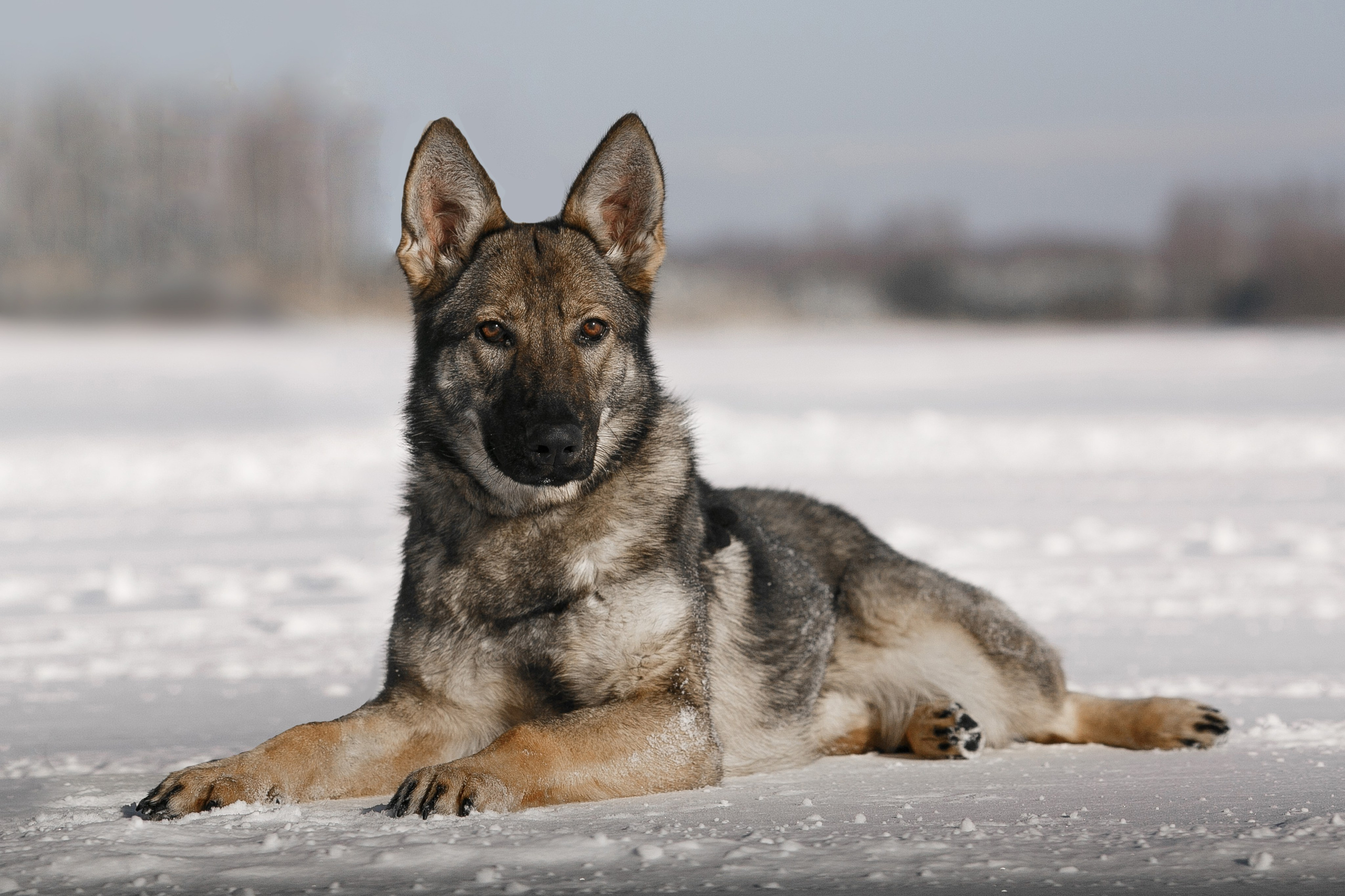 Репортажный фотограф Борис Геер