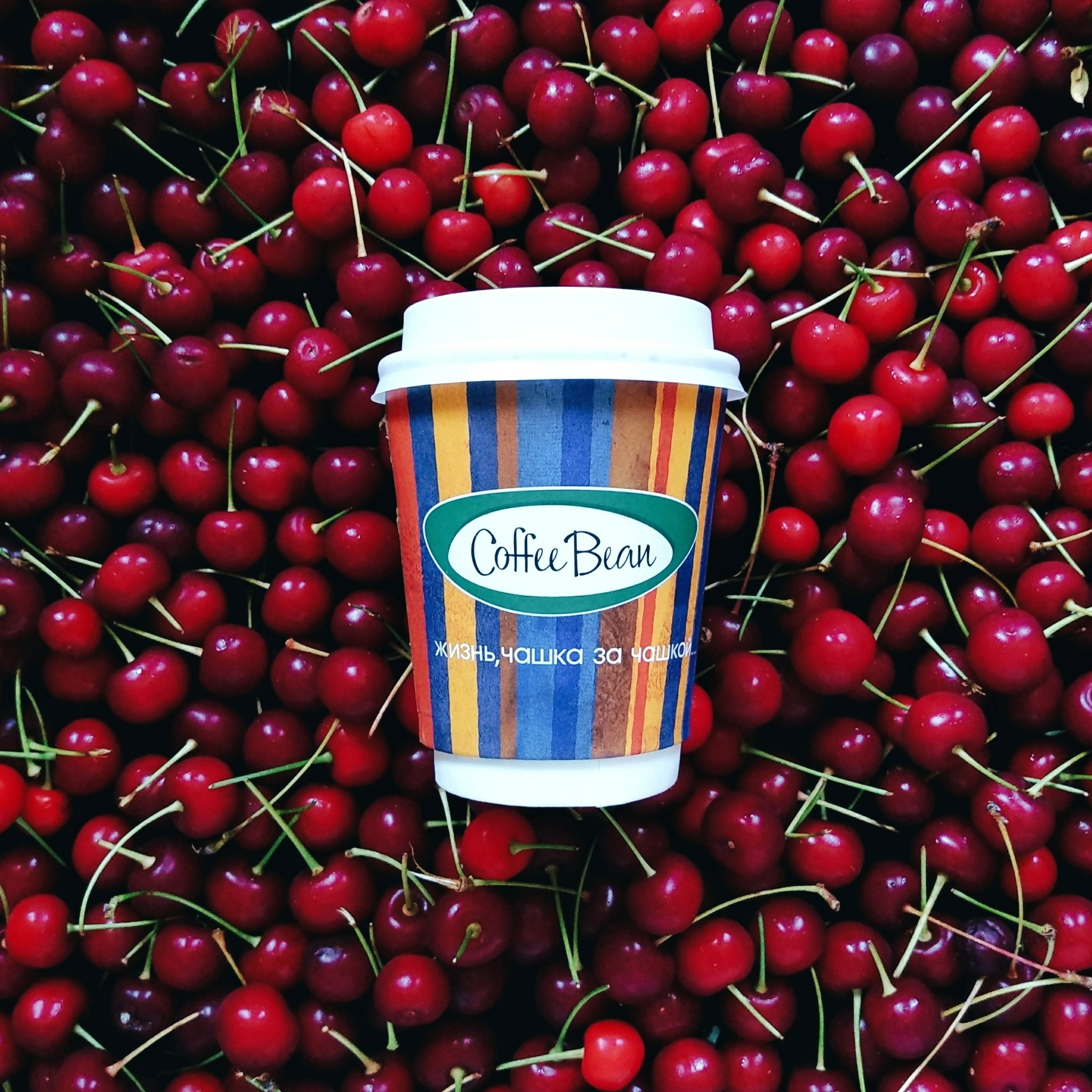 Coffee Bean. Анна Мак, портретный и контент фотограф, Москва