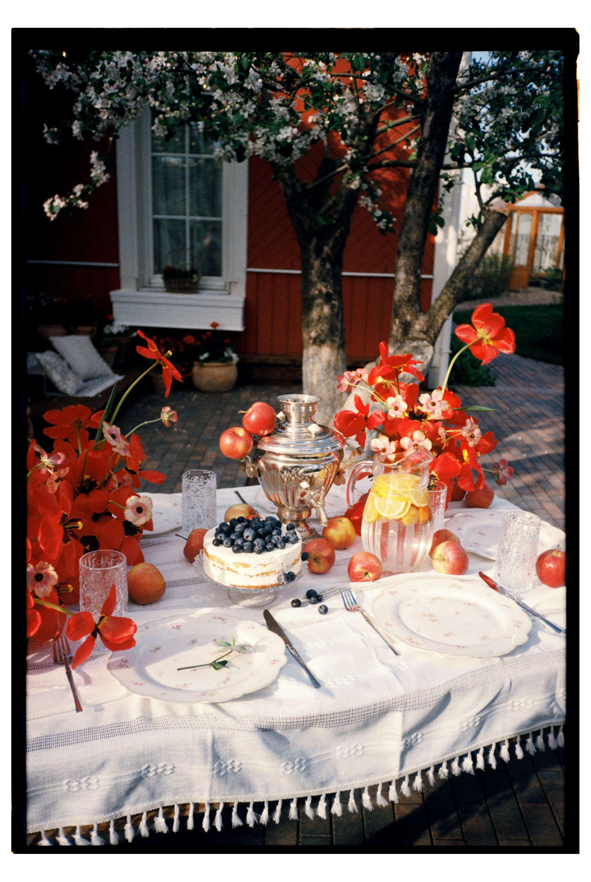 Фото на плёнку. Вера Пьянцева семейный, свадебный и парный фотограф в Санкт-Петербурге