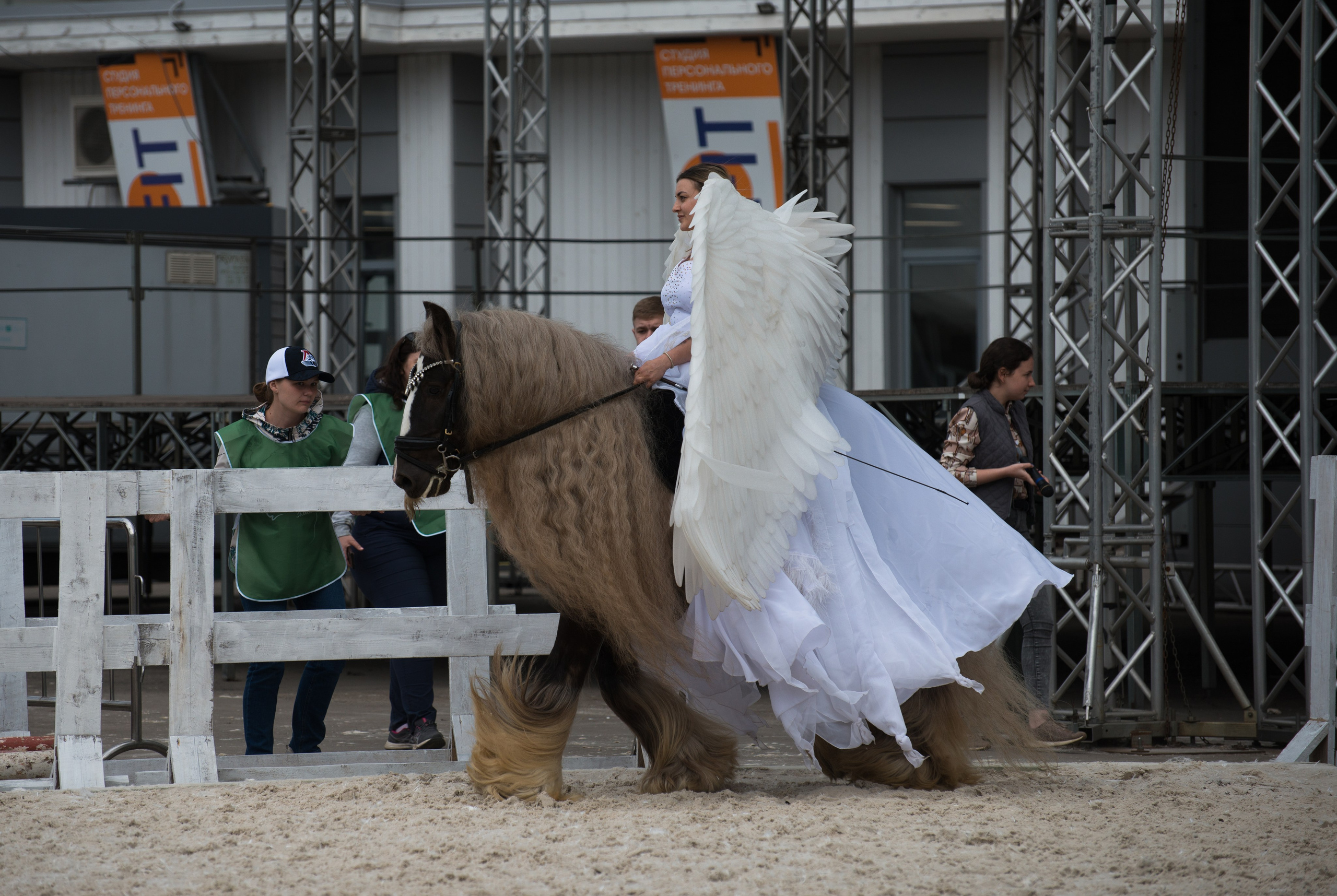 Эквирос, Москва. Конный фотограф в Саратове Юлия Иванова