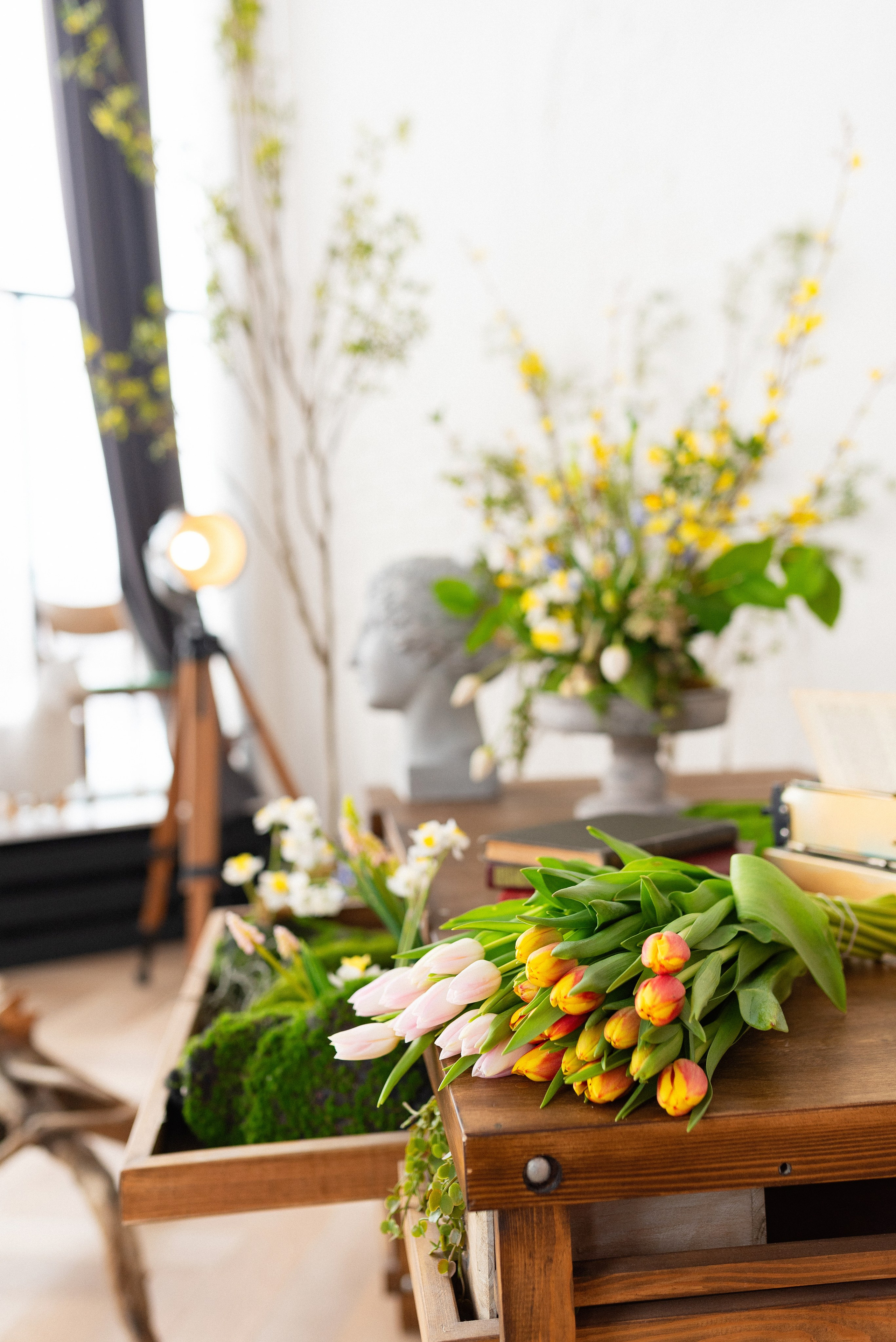 Фотостудия Питер в Сургуте. Детский и семейный фотограф в Сургуте и Нефтеюганске Анна Старцева