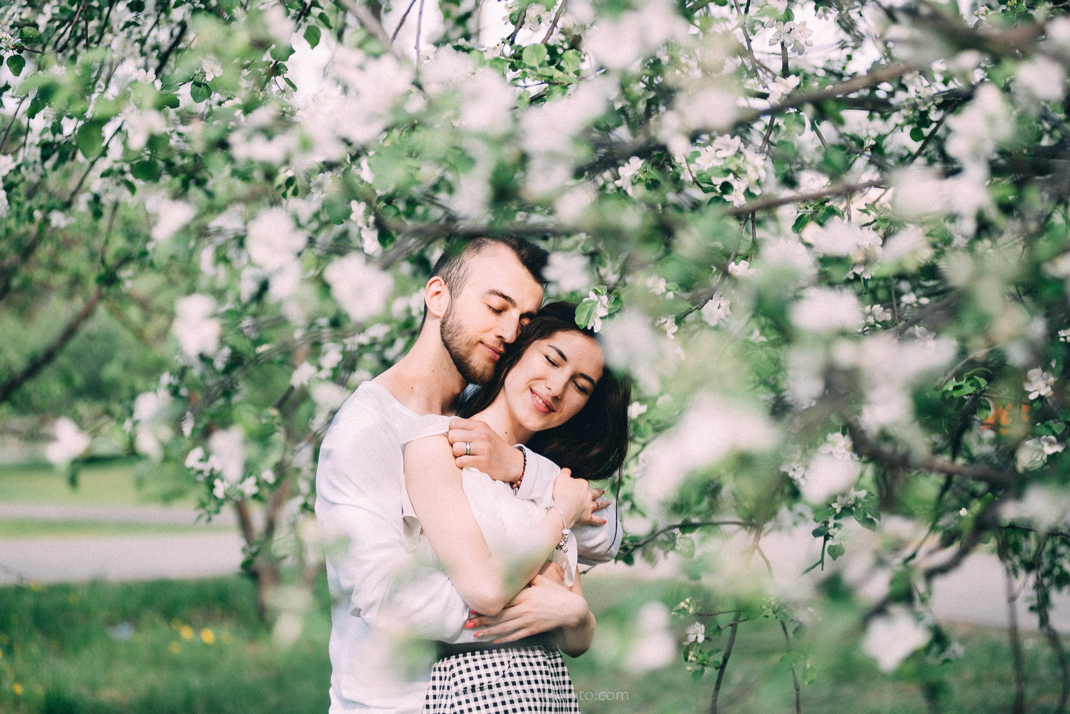 Алмаз и Айназ. Яблони