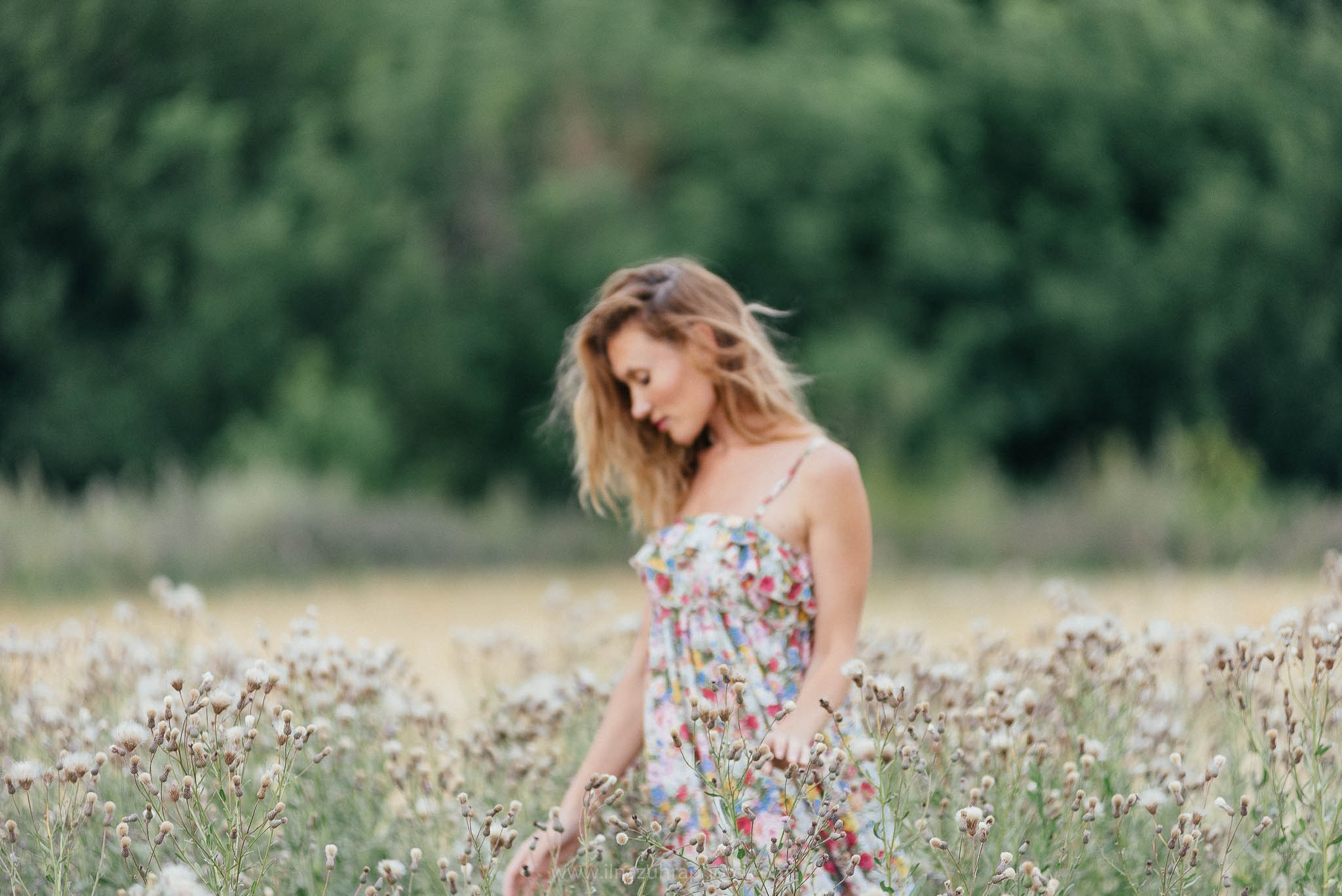 Лето. Нежность. Алла