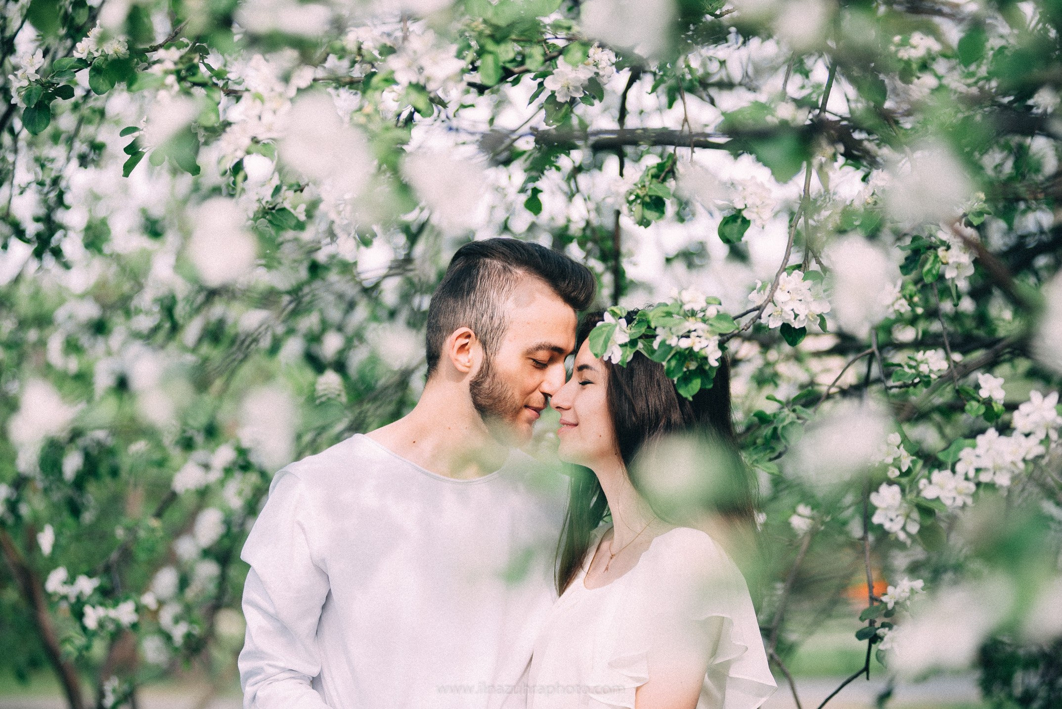 Алмаз и Айназ. Яблони