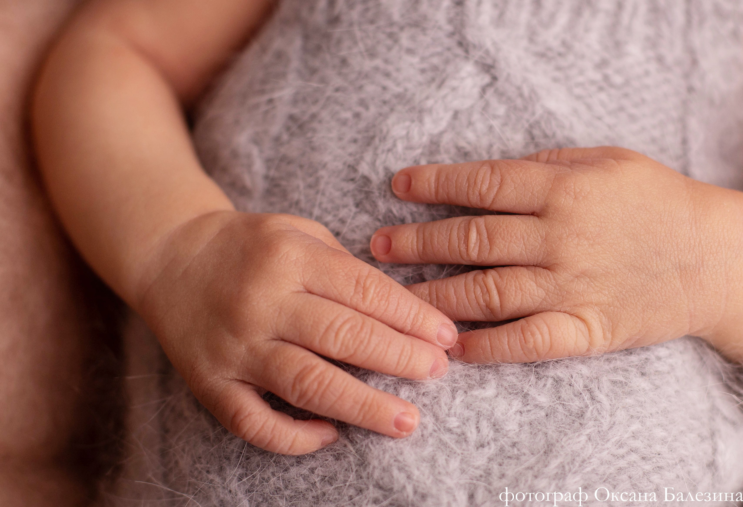 Балезина Оксана — фотограф новорожденных