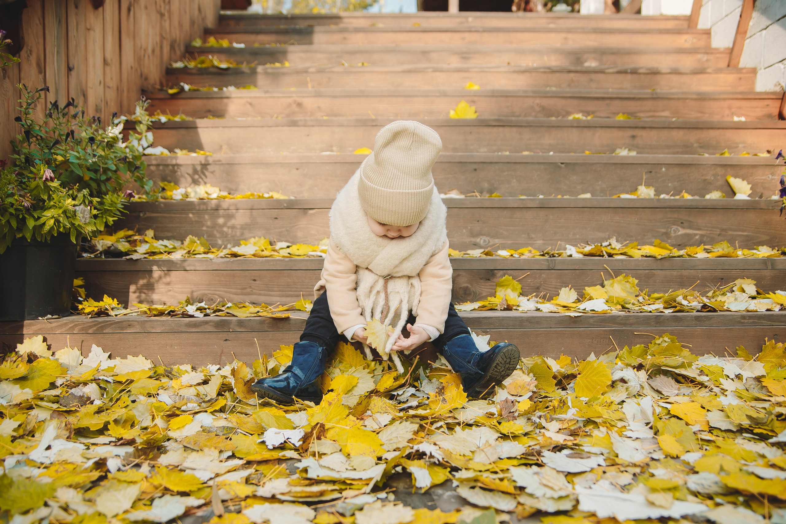 Волшебная осень. Фотограф в Абакане Николай Окунев