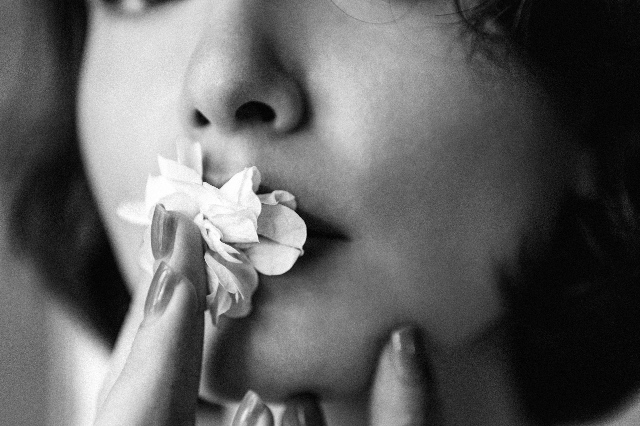 Лиза. Главная