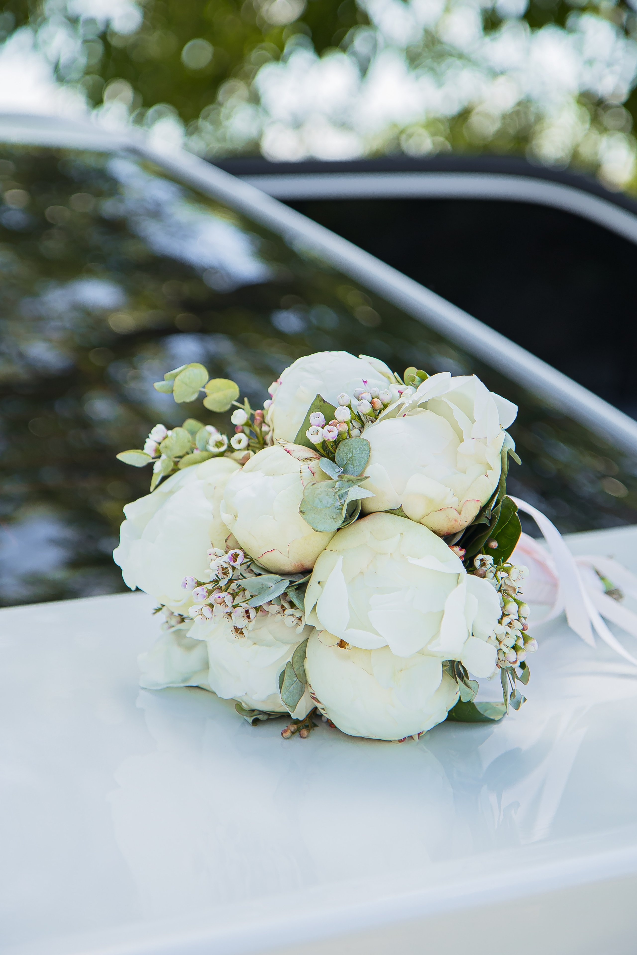 Виктория и Дмитрий. Фотограф Ксения