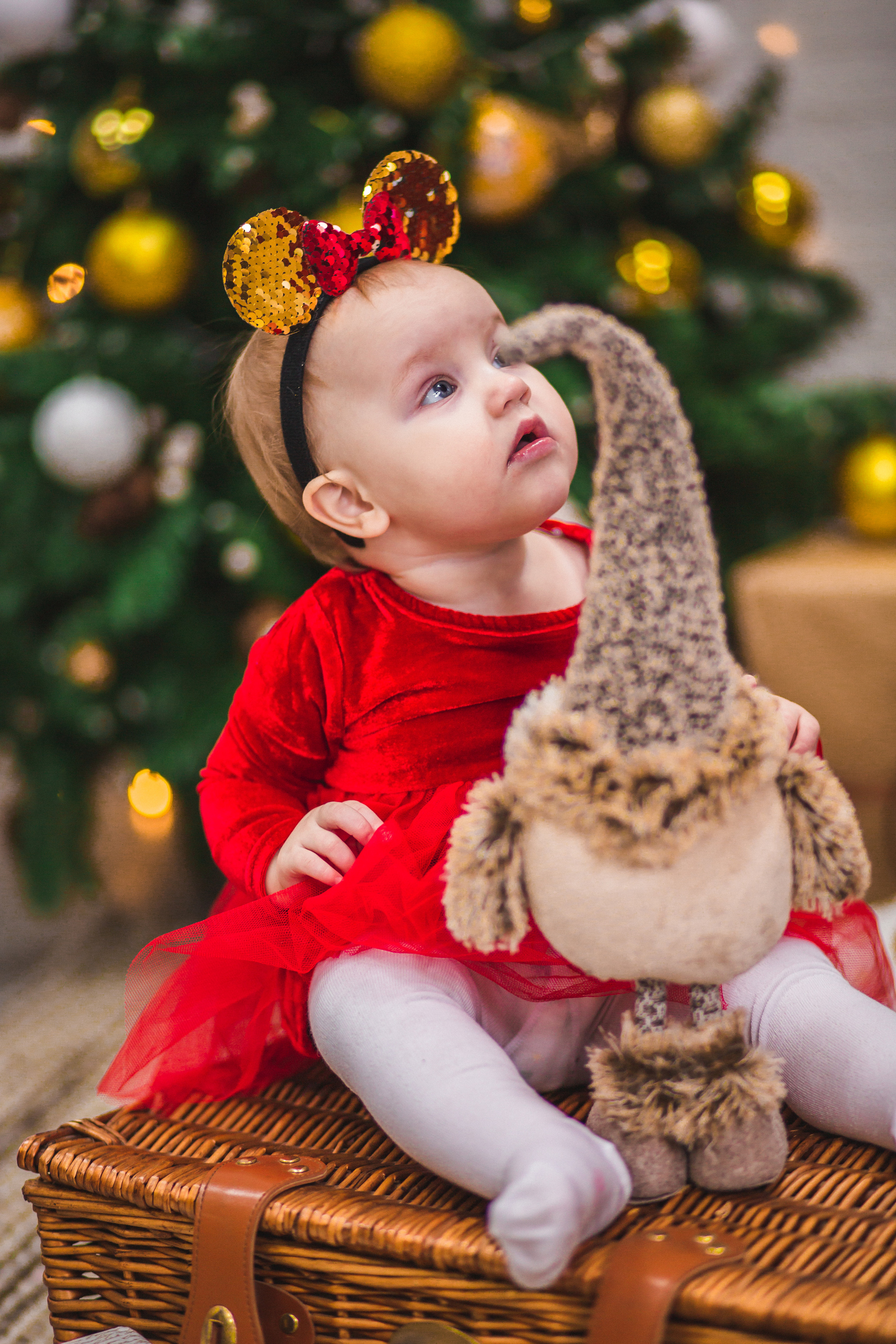 Новогодние=). Фотограф в Хабаровском крае Наталья Лацук