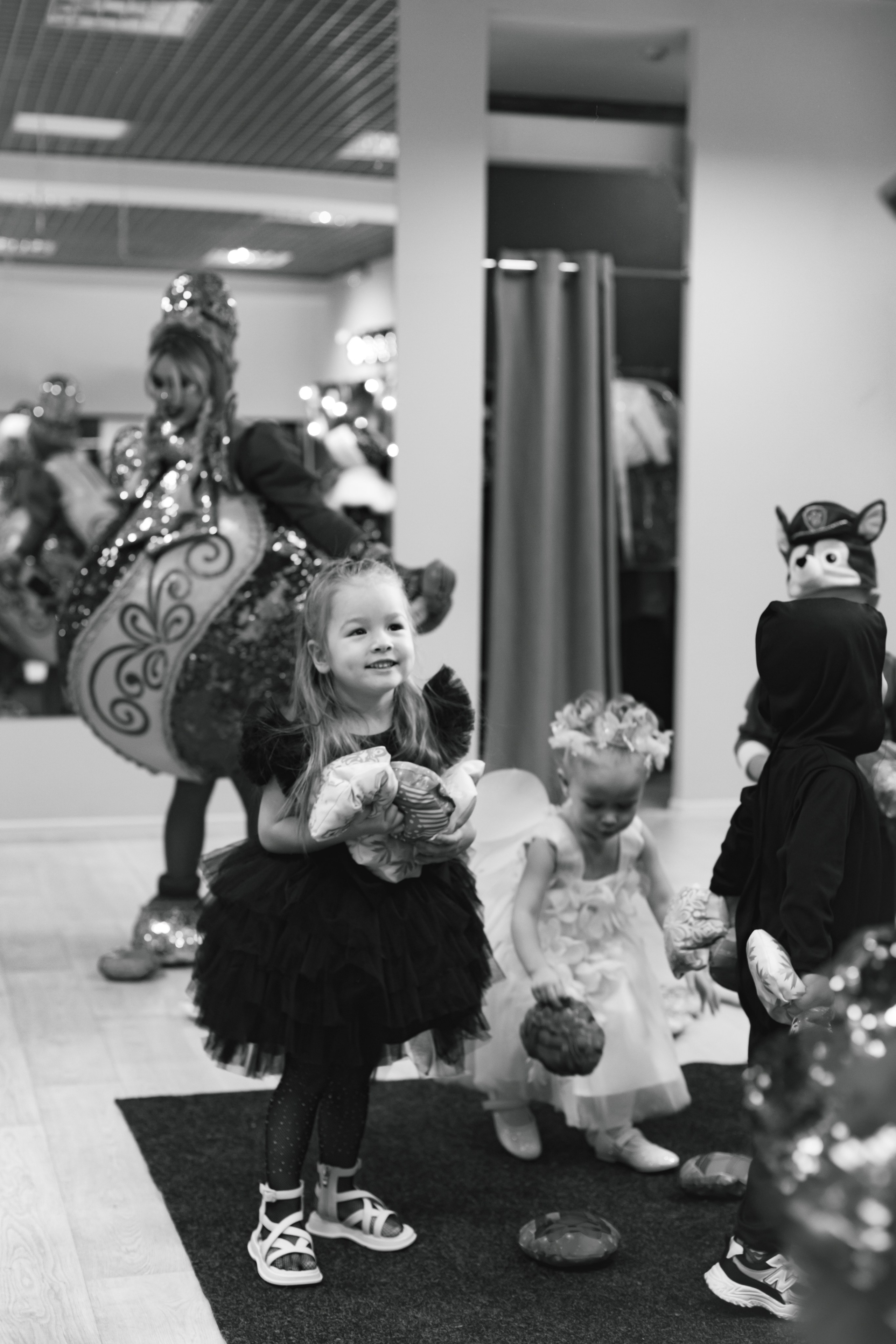 Happy new year. Photokarish