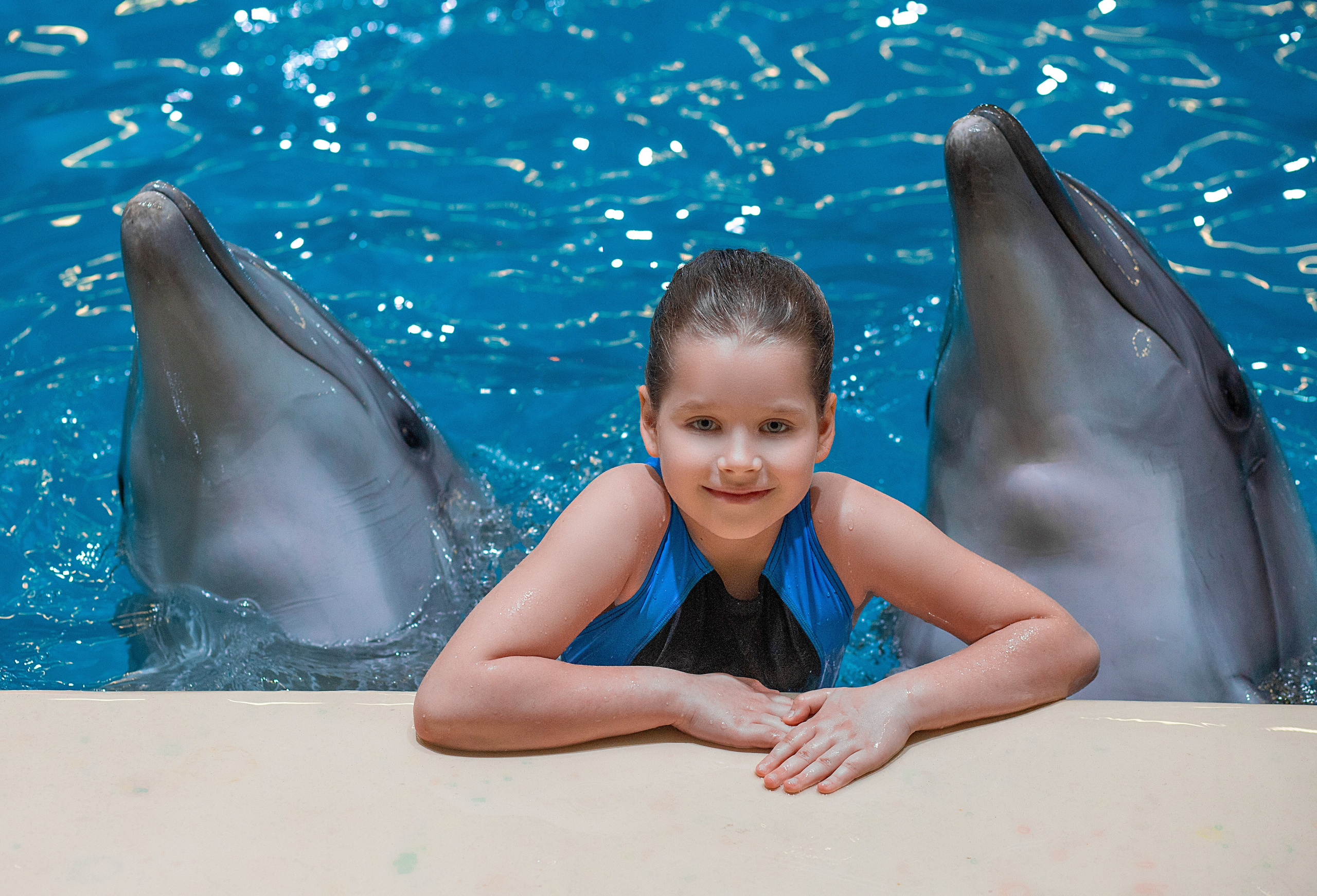 Фотосессия с дельфинами. Фотосессия с лошадьми в Нижнем Новгороде