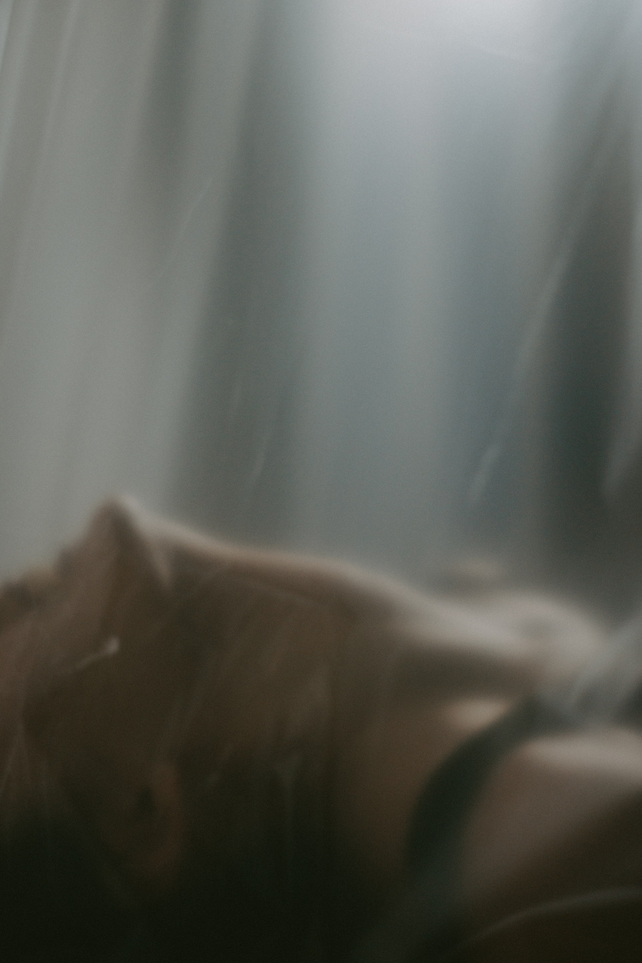 Creative. Свадебный и семейный фотограф город Темрюк Фотостудия Темрюк