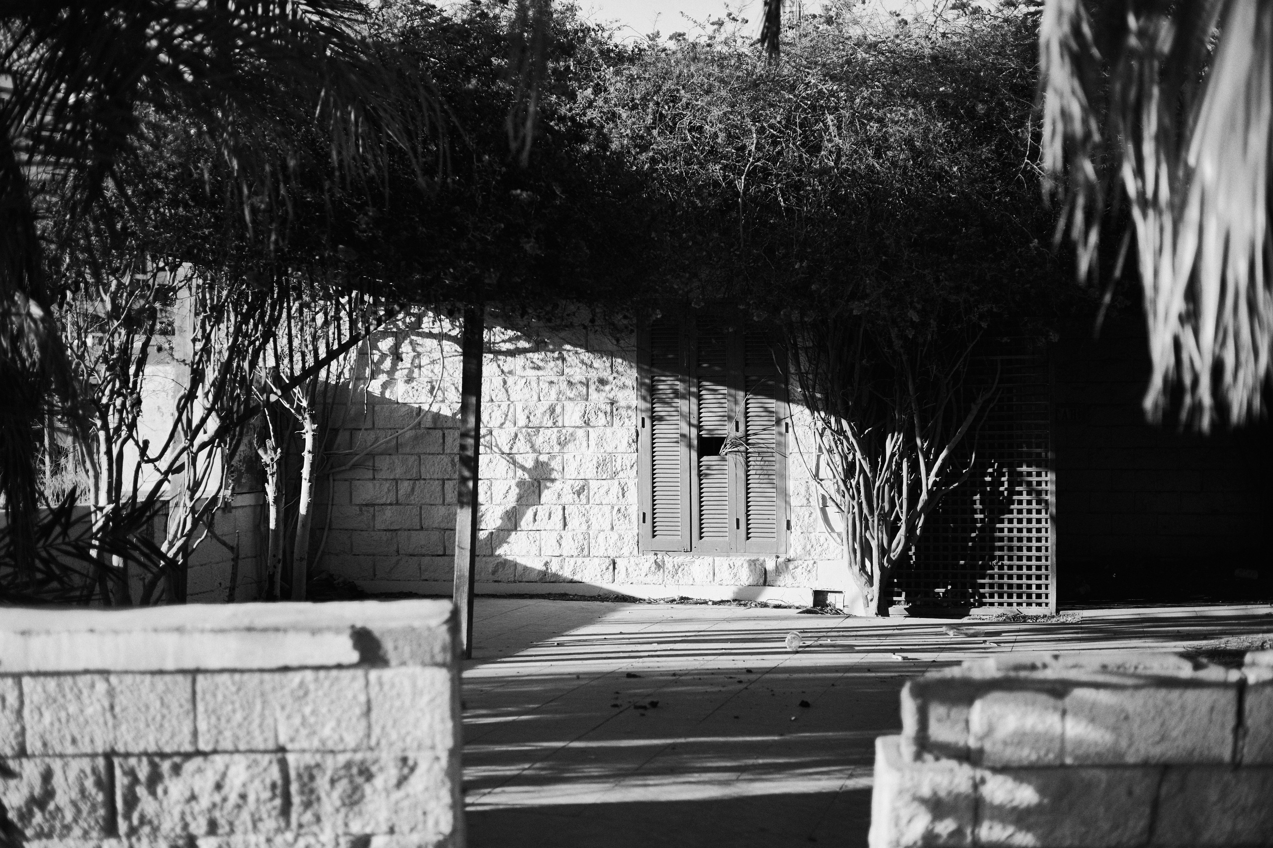 B&W. Jorgis — фотограф в Хургаде / обучение фотографии