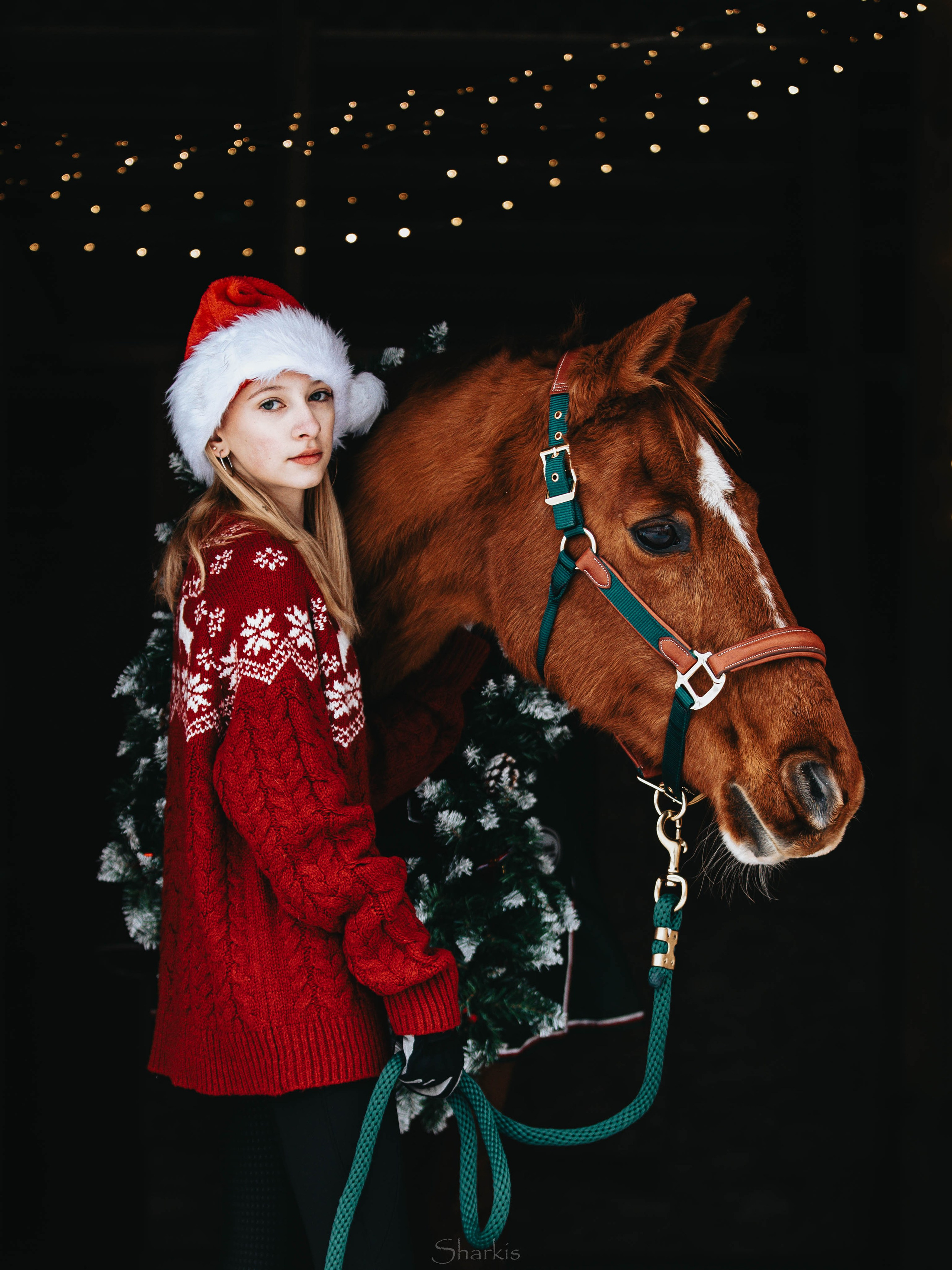 Фото день в ЧК «Орлёнок» — Новый год. Главная