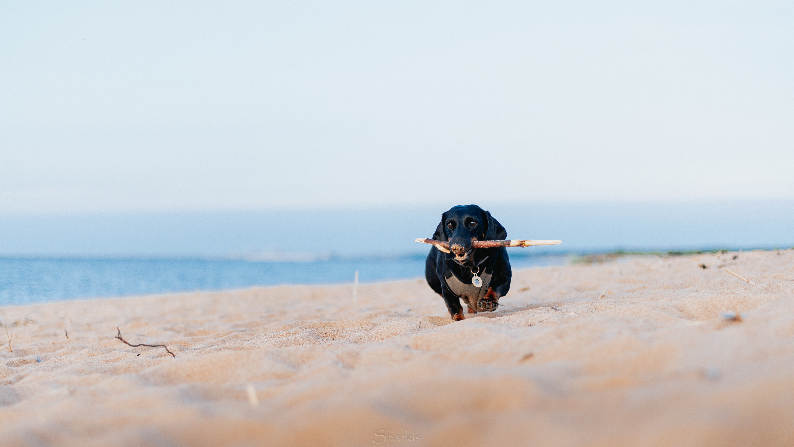 Аня и Алиса. Главная