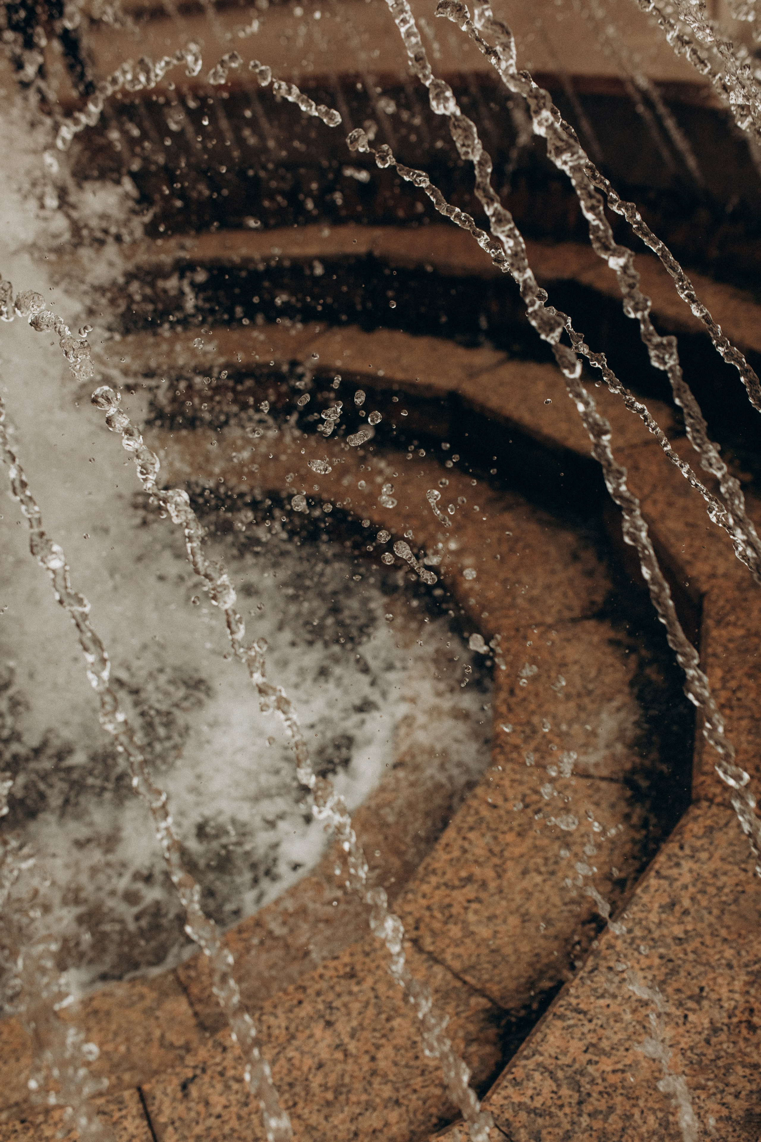 Оля Шон Соня Степа. Семейный фотограф в Минске и РБ Стеликова Анна