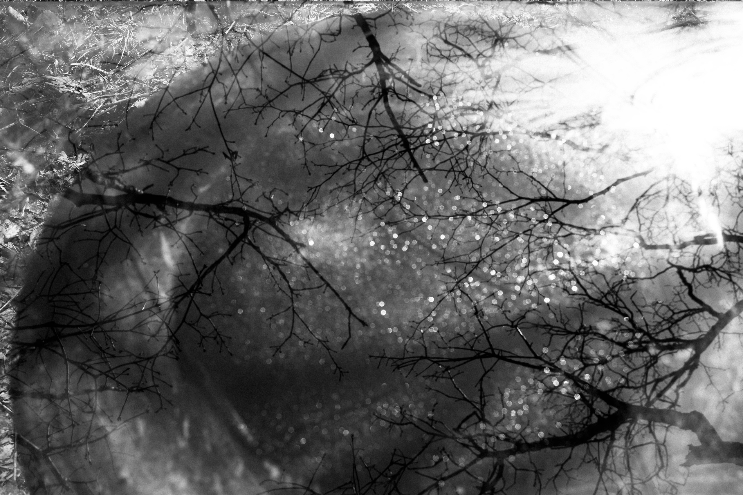 Зарисовки. Иван Ефремов фотограф в городе Владивостоке