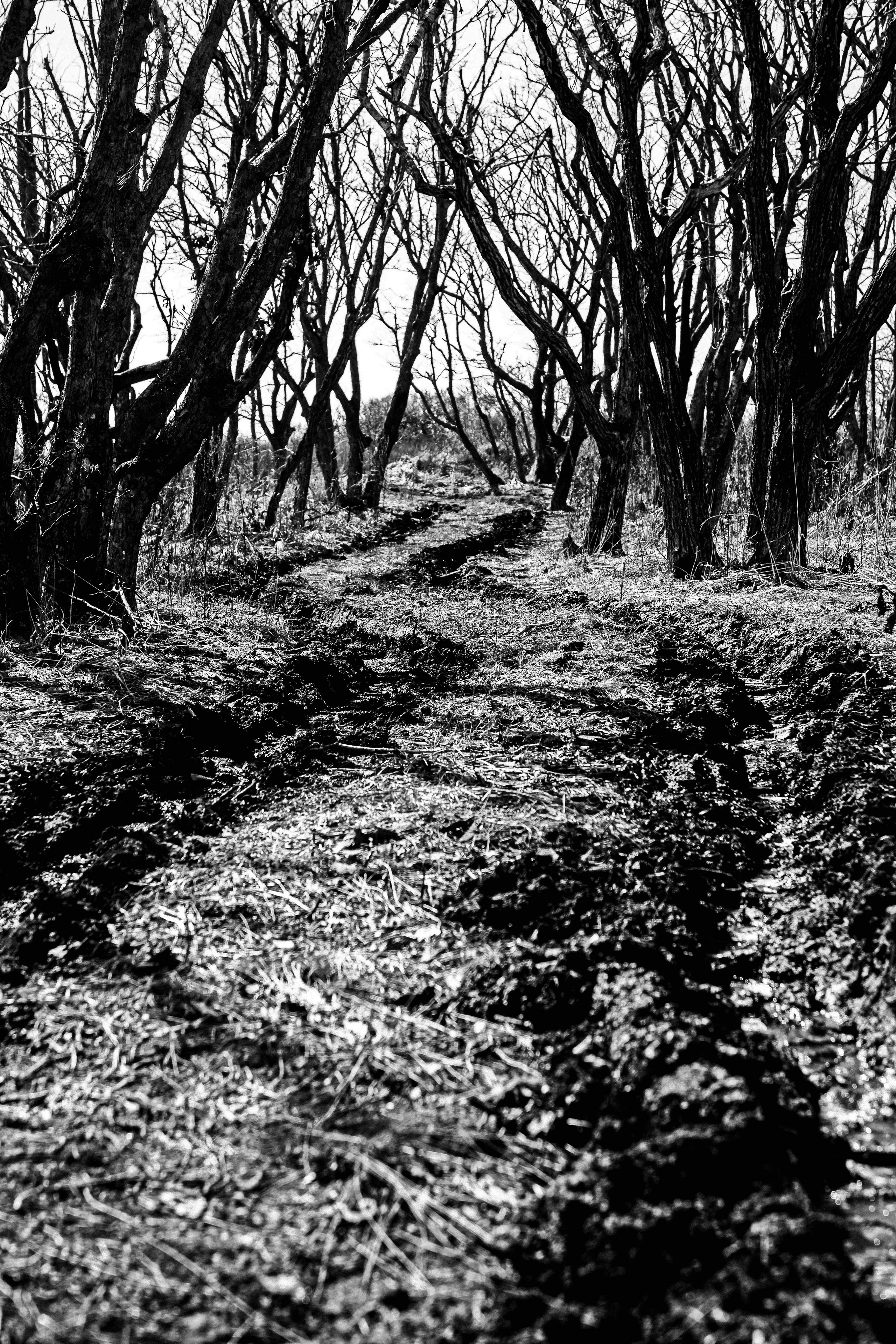 Зарисовки. Иван Ефремов фотограф в городе Владивостоке