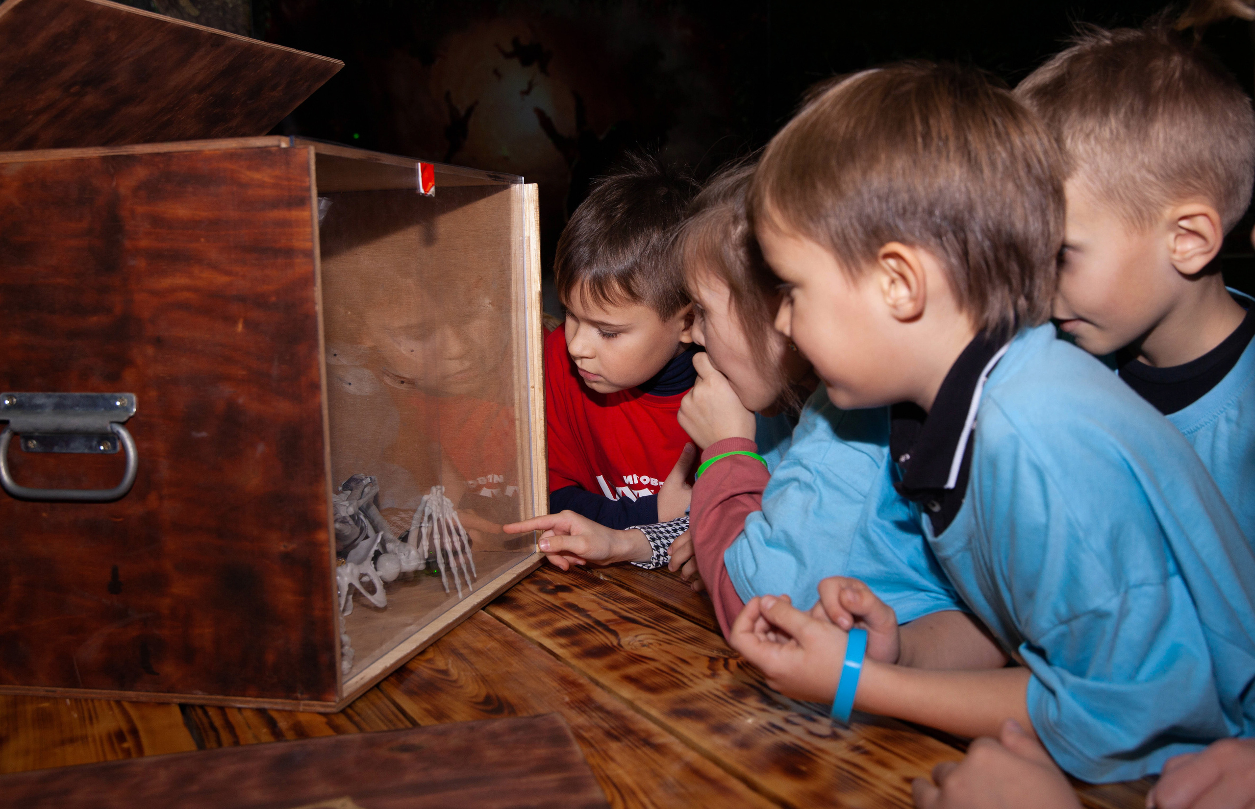 начало задания дети смотрят во внутрь таинственного ящика 